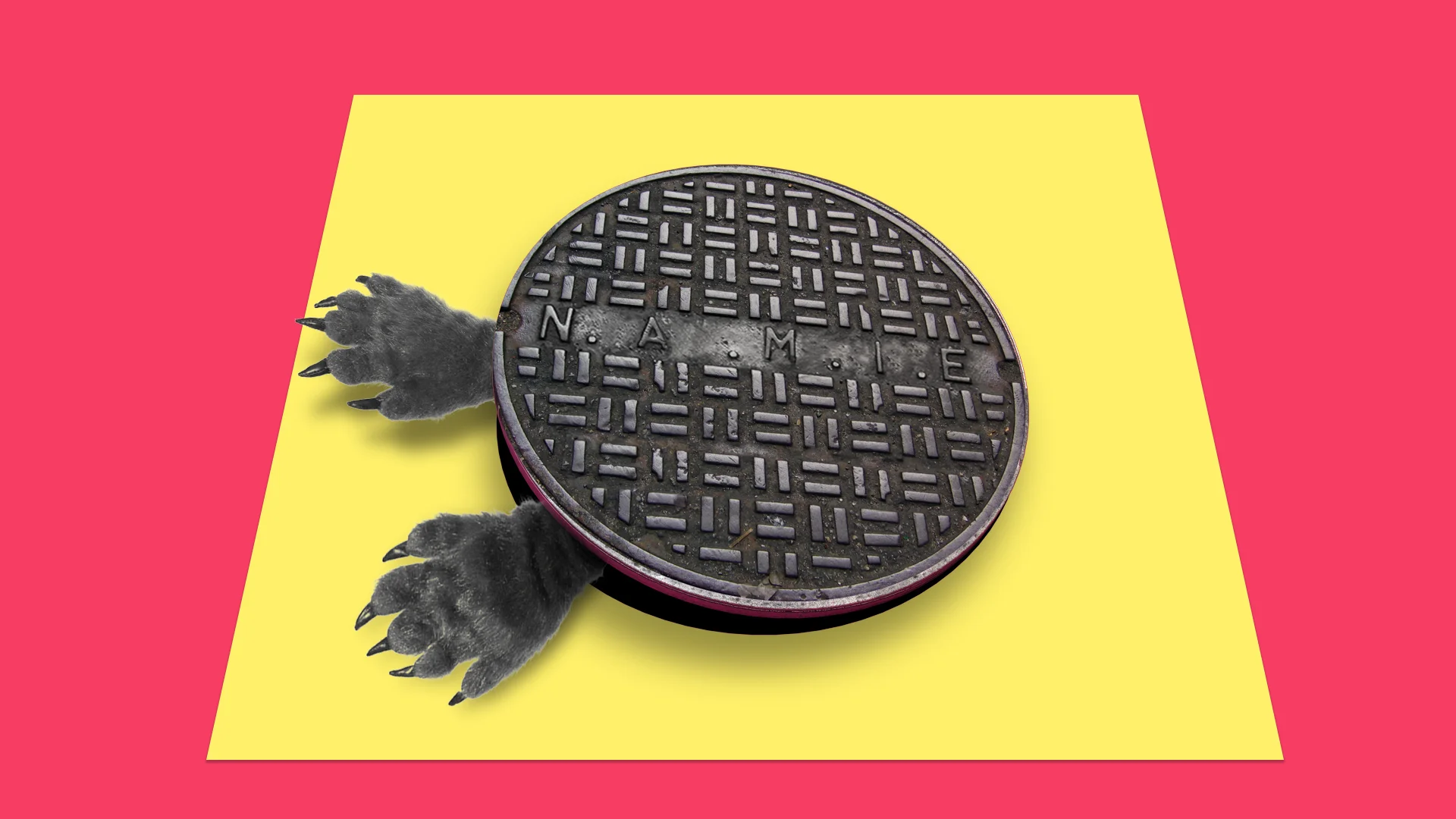 SC090_manhole.jpg