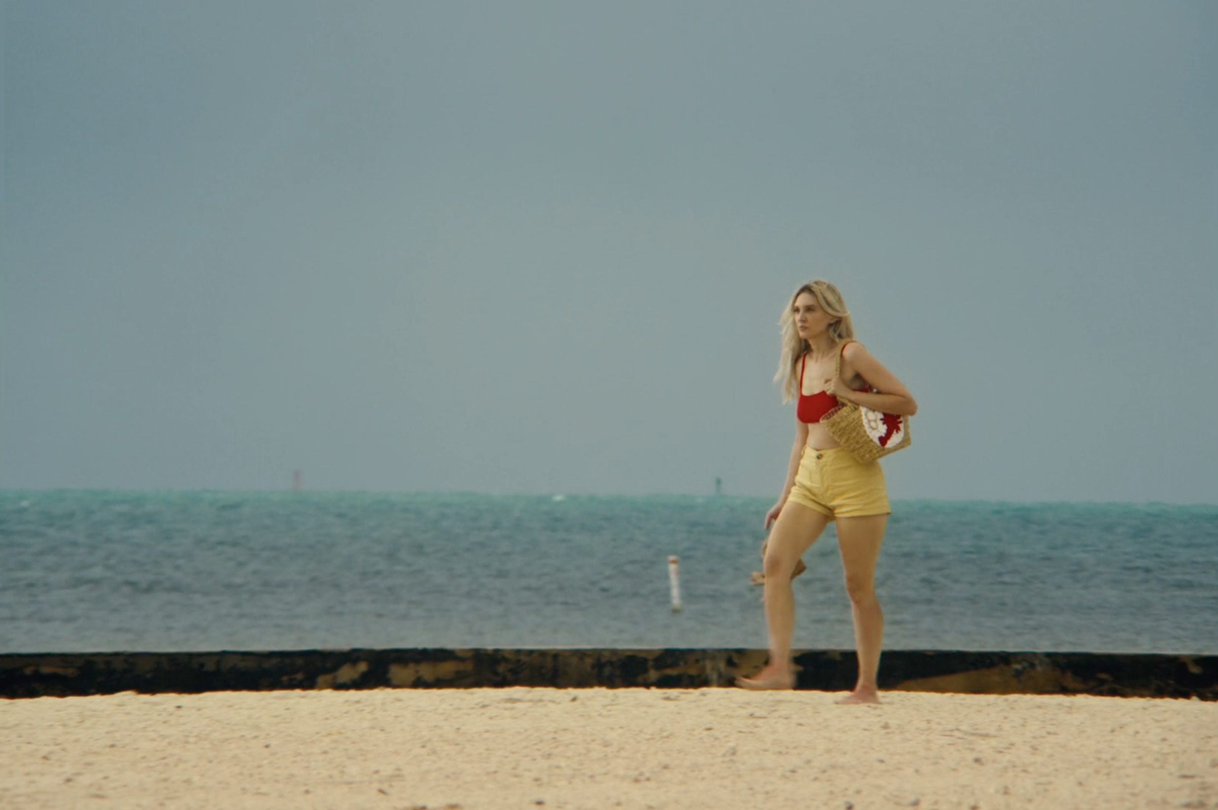 Screenshot 2026-02-12 at 2.46.21 PM.png