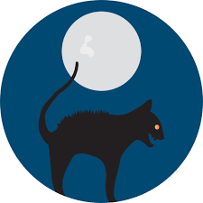cat and moon.png