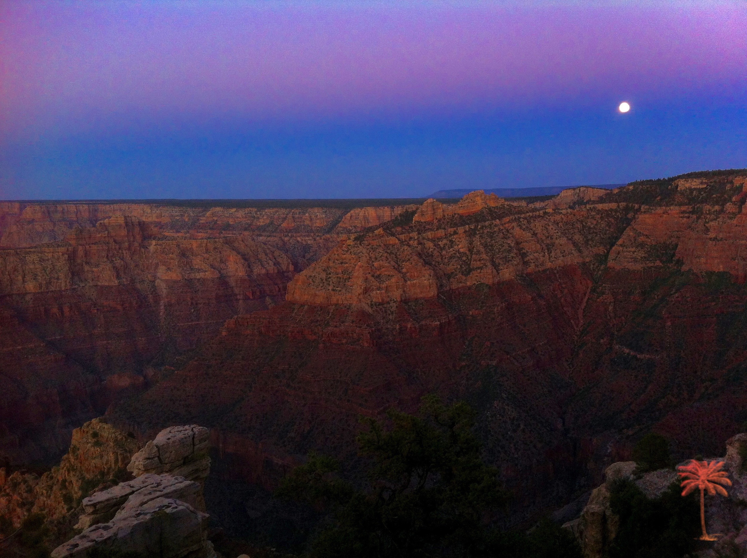 CROSS COUNTRY ROADTRIP! Florida to California