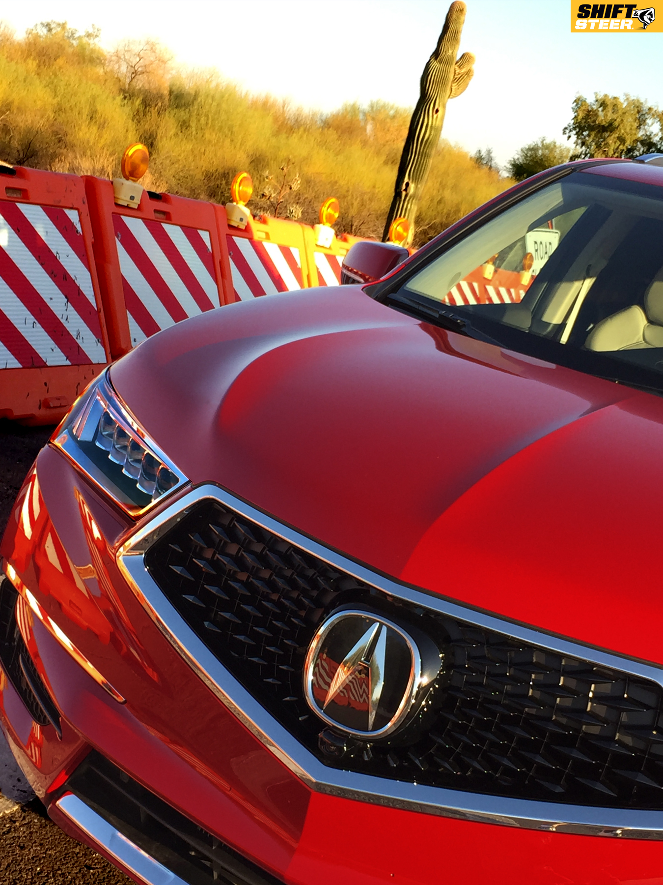 MDX 20.jpg