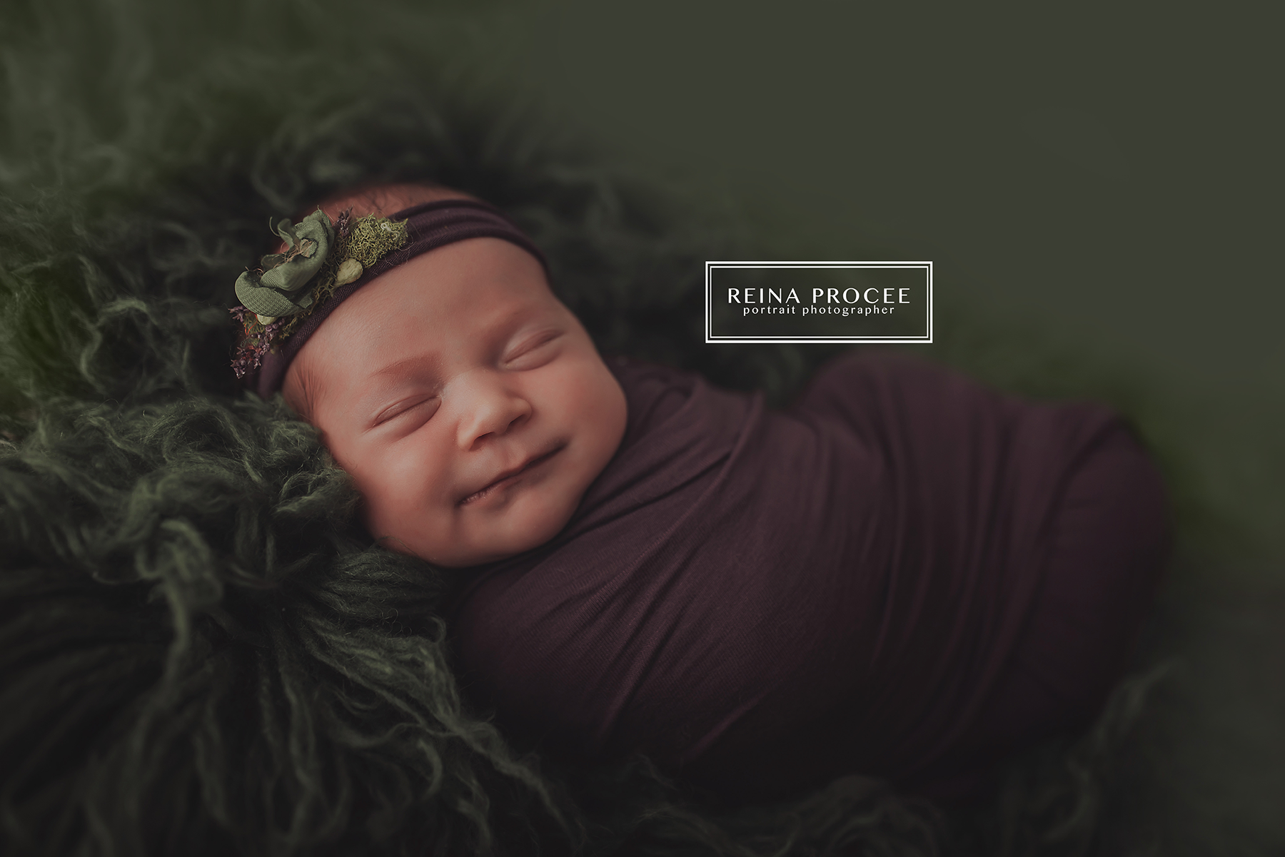 Tulip Digital Package