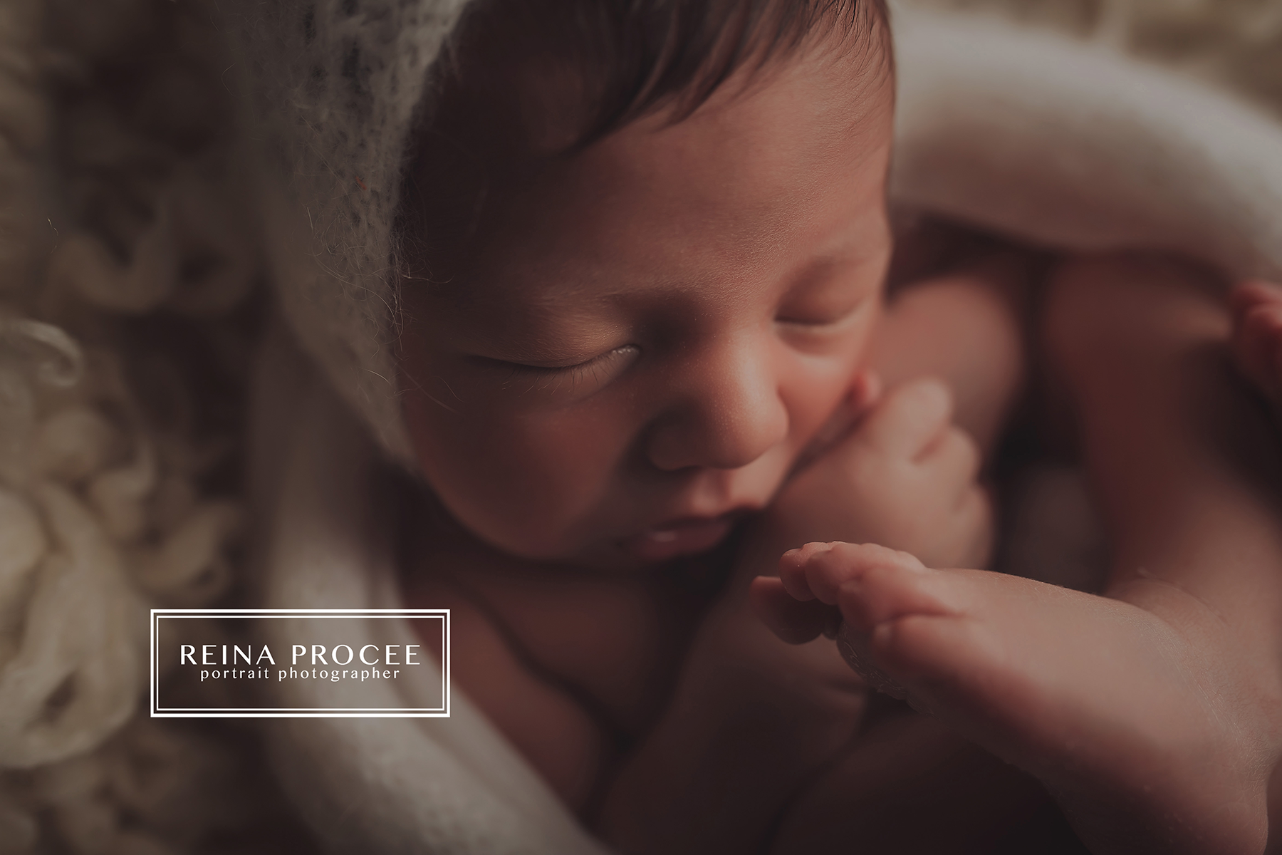 Daffodil Digital Package