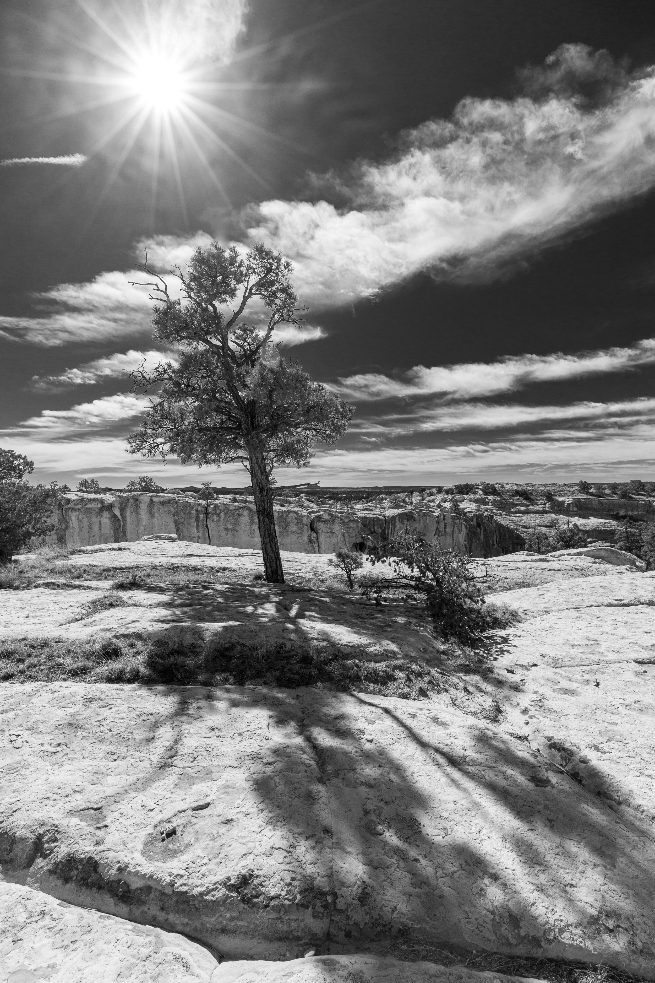 El Morro, New Mexico 