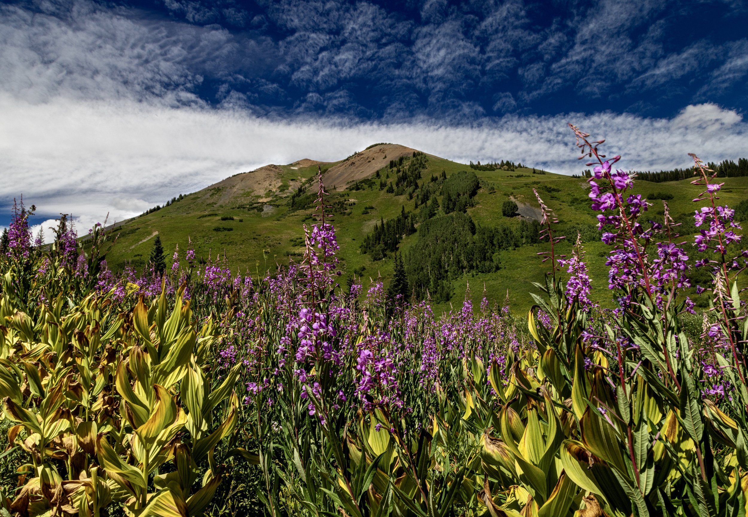 Crested Butte, Colorado