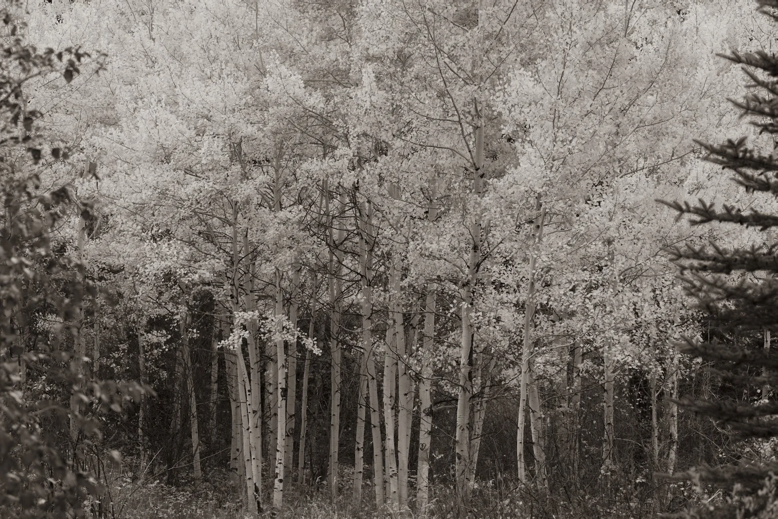 untitled-0200-3.jpeg