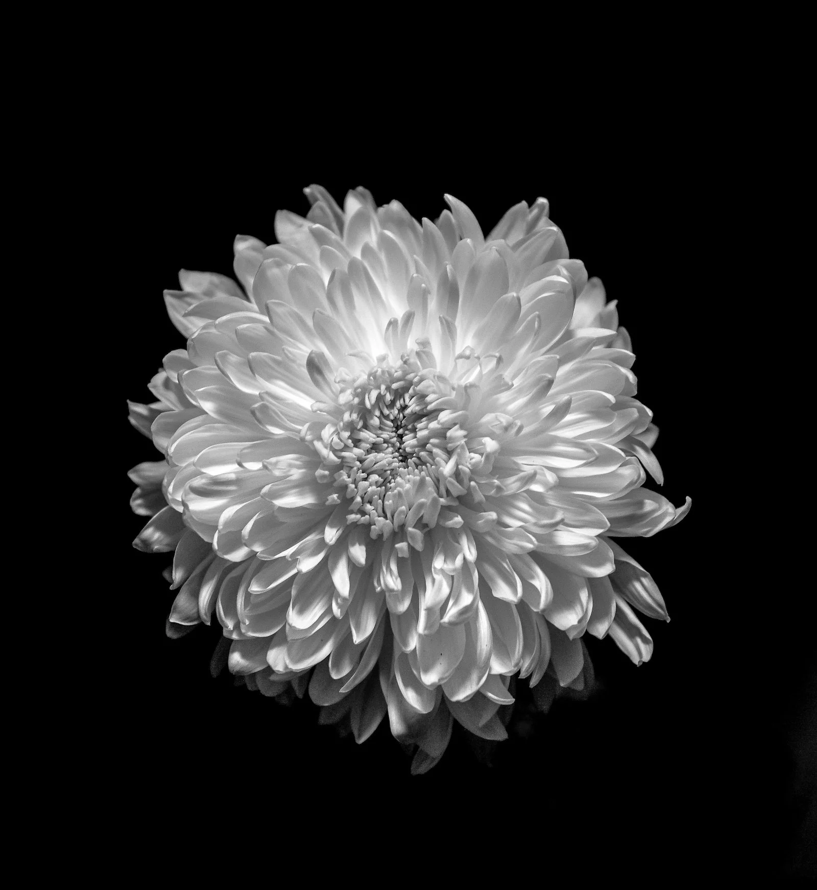 untitled (1 of 1)-3.jpeg