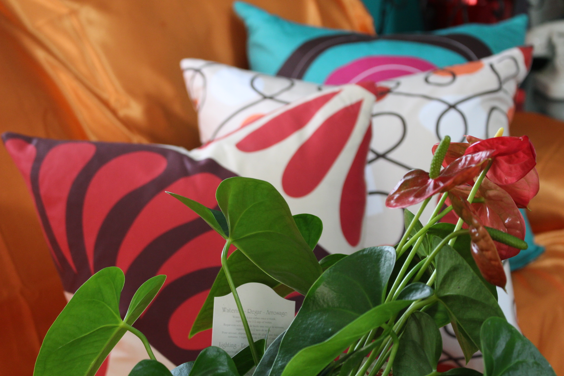 Libby and Chakra pillows