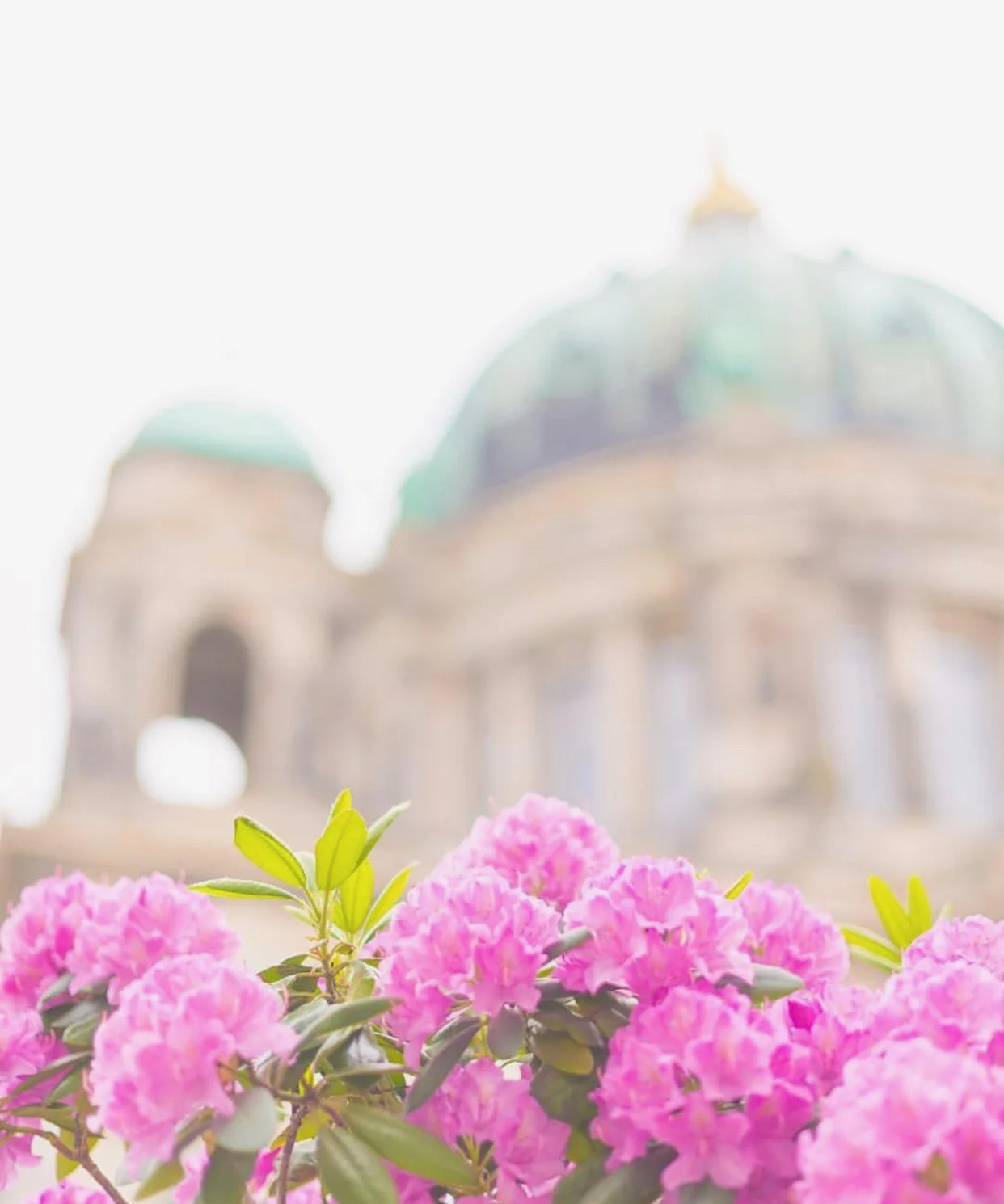 Image c/o Augusta Leigh Photography of SnapSquad