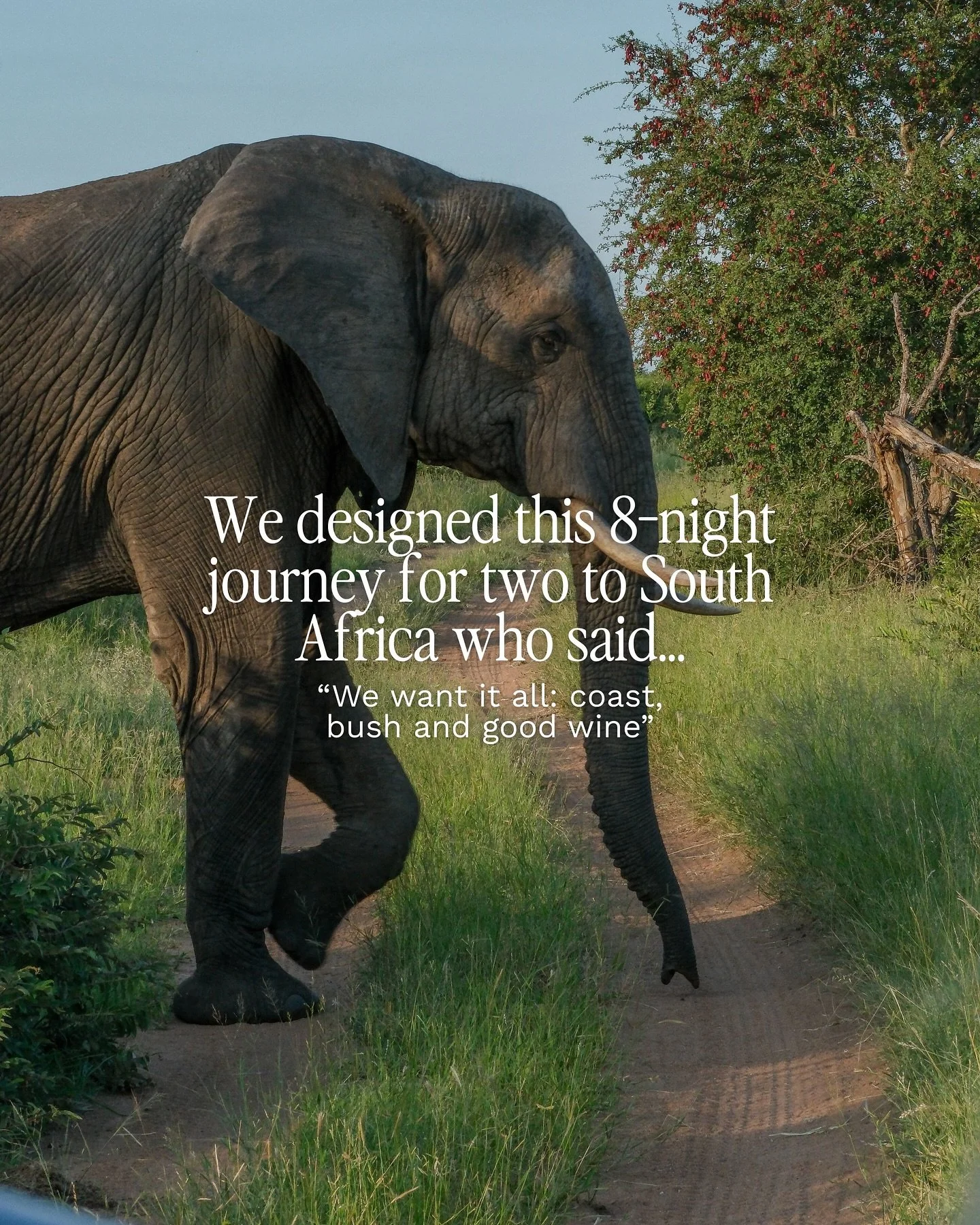Here&rsquo;s a peek into an 8-night journey we recently designed for two travelers who wanted the perfect balance of coast, bush and good wine, all without the stress.
The trip began in Cape Town, where they checked into a peaceful coastal retreat an