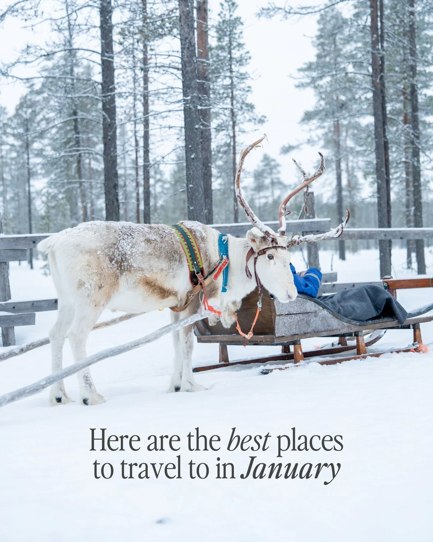 January offers a time to start fresh and choose experiences with intention. Whether you&rsquo;re leaning into alpine stillness or chasing long summer light, it&rsquo;s a month that opens up space: quiet cities, bright landscapes, and warm escapes at 