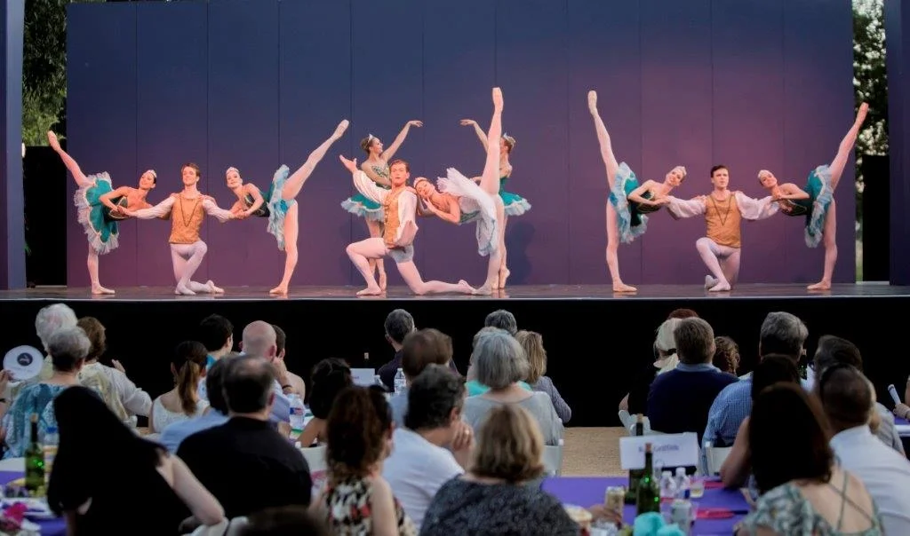 SDC 2019 image 2.JPG