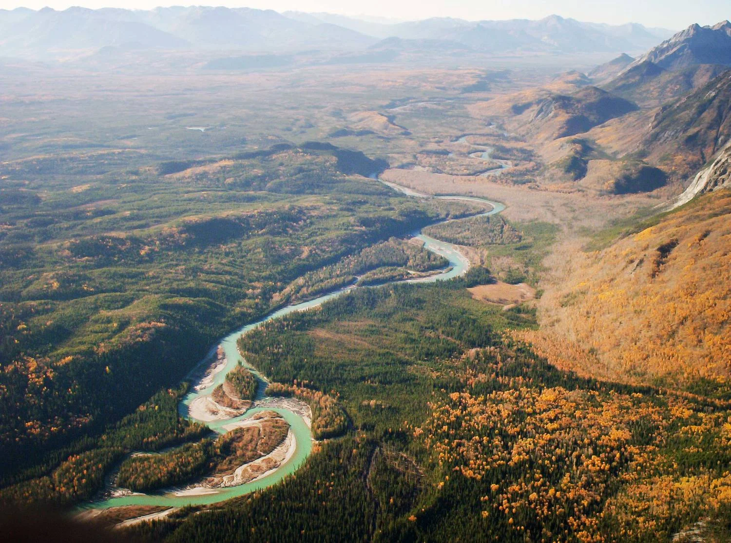 gataga-header.jpg
