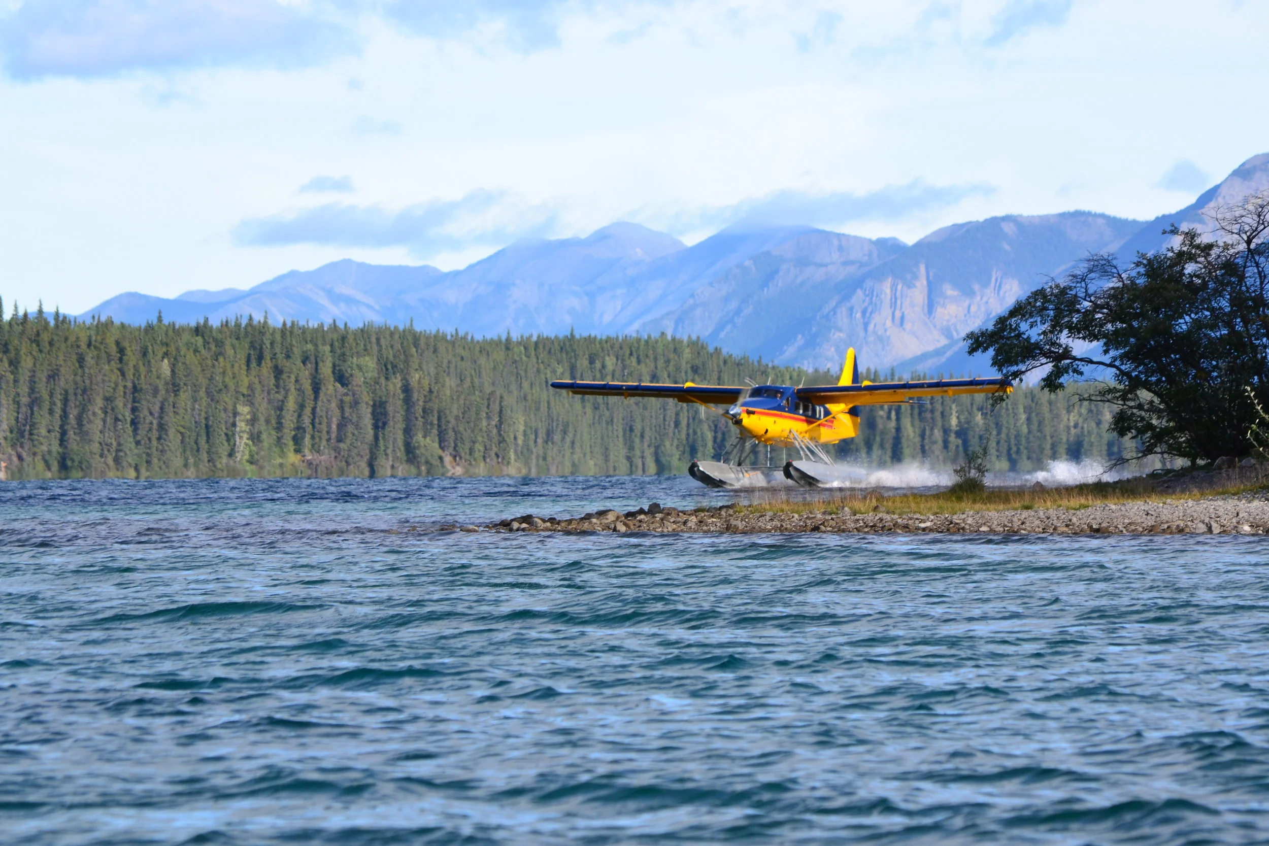 Otter Landing Muncho Lake.JPG