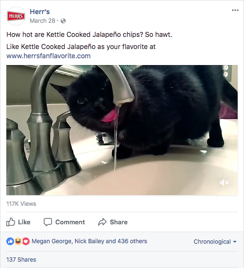 Screen Shot 2017-11-10 at 10.26.31 AM.png