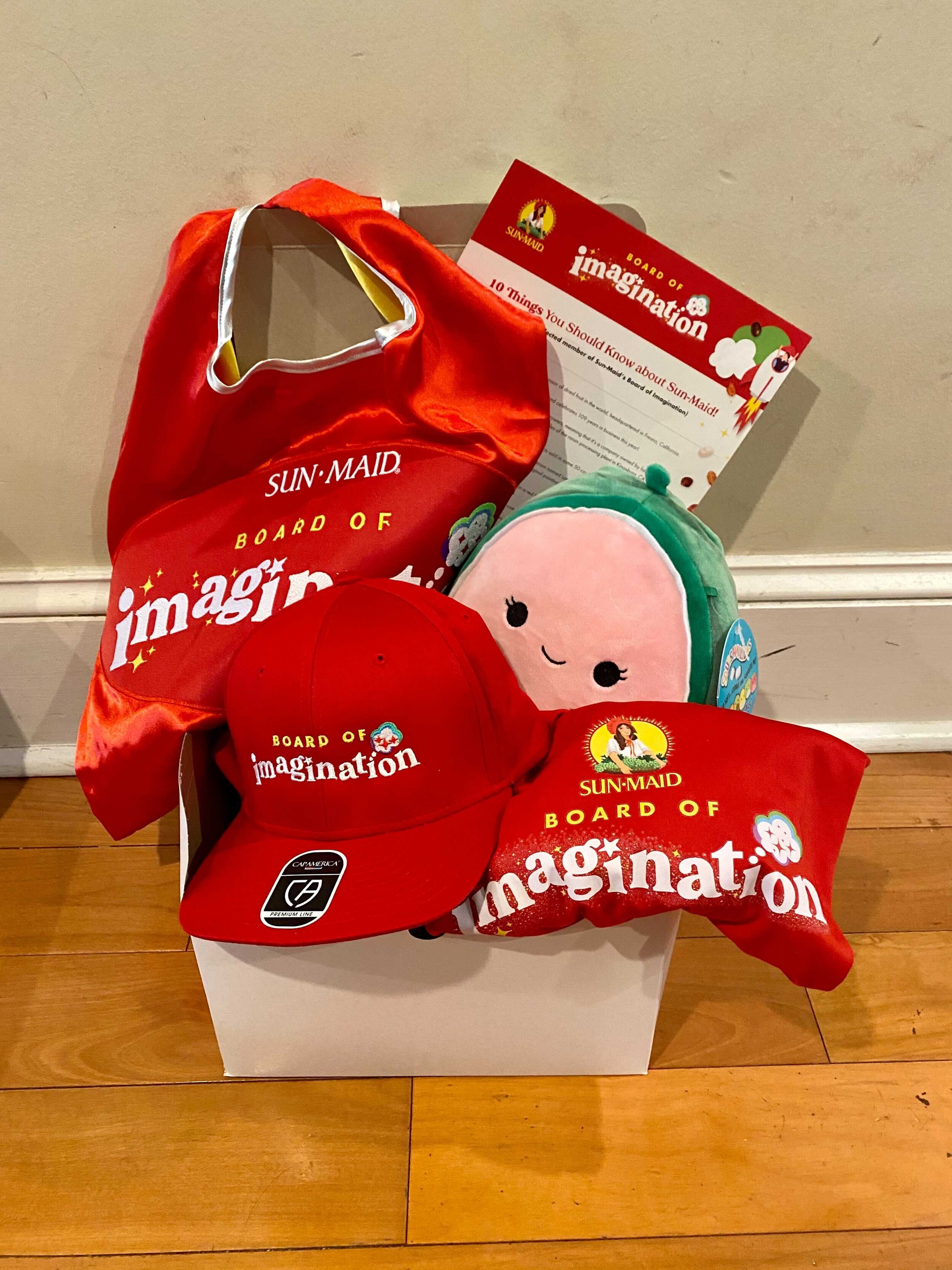  Yes, we bought them Squishmallows. No, you can’t have their custom capes.   