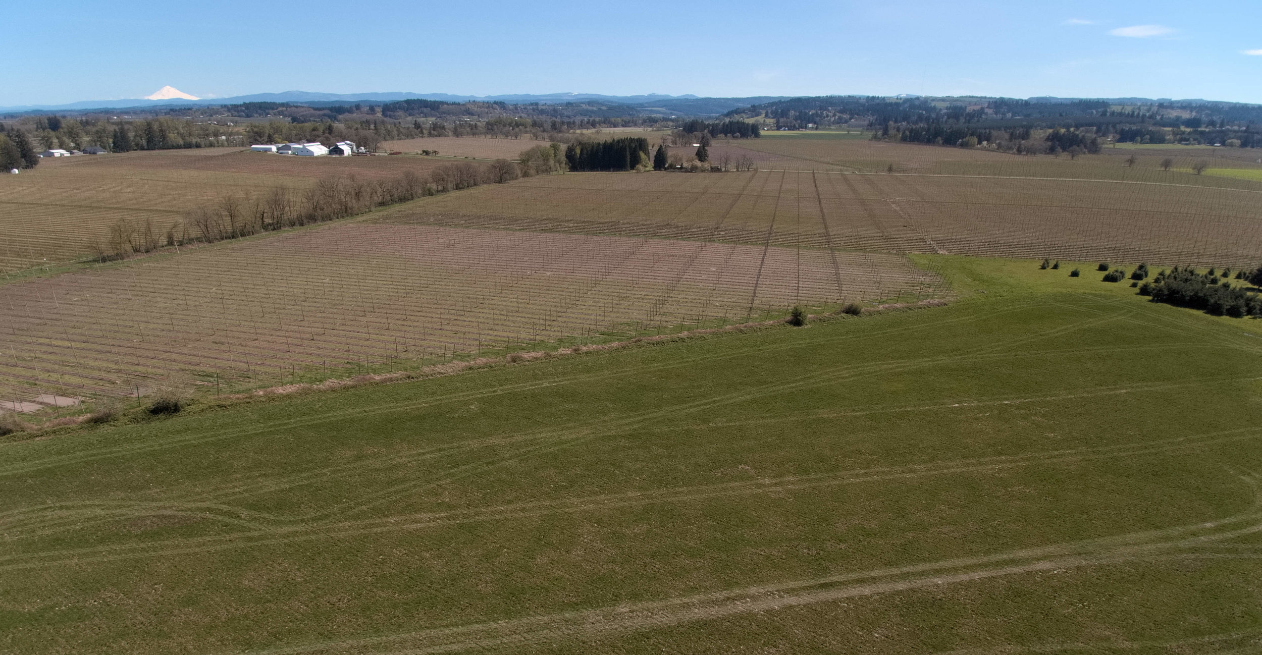 Grain & Hops, Pre-Seeding, 4/21