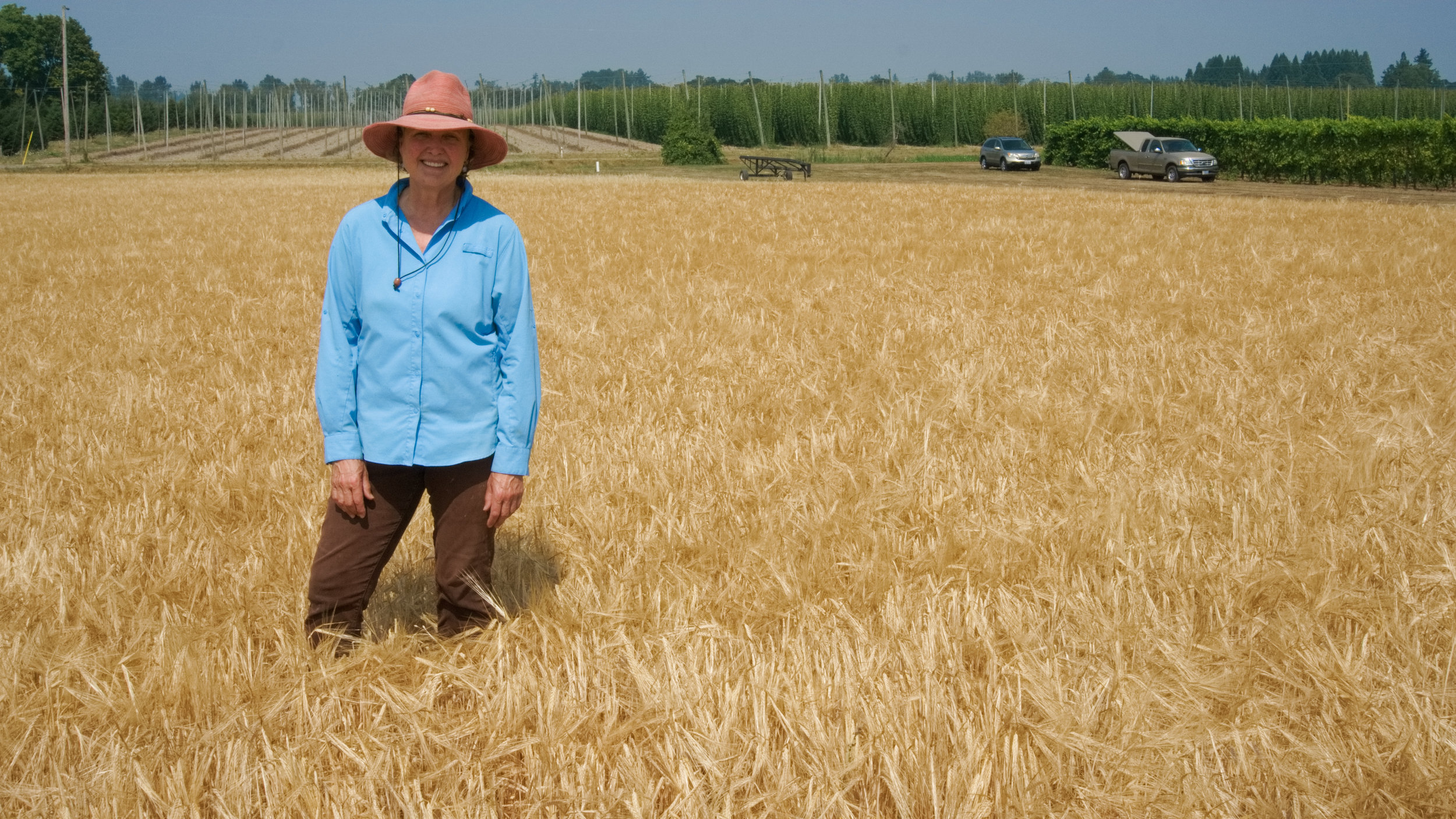 Harvest, Gayle & Lyon, 8/9