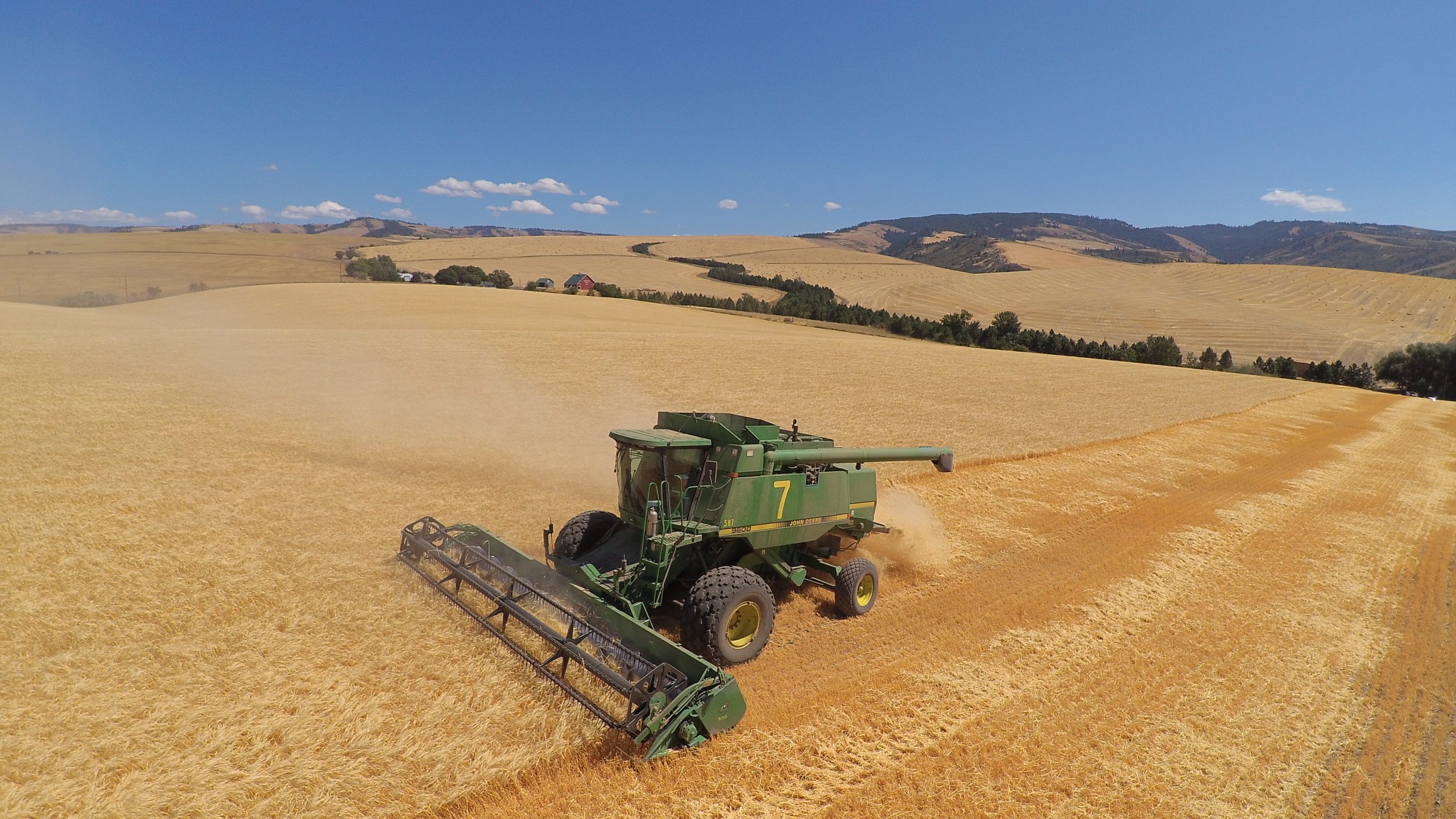 MSM_HTReaFarming_2021-WallaWalla-GeniePalmer_Harvest.jpg