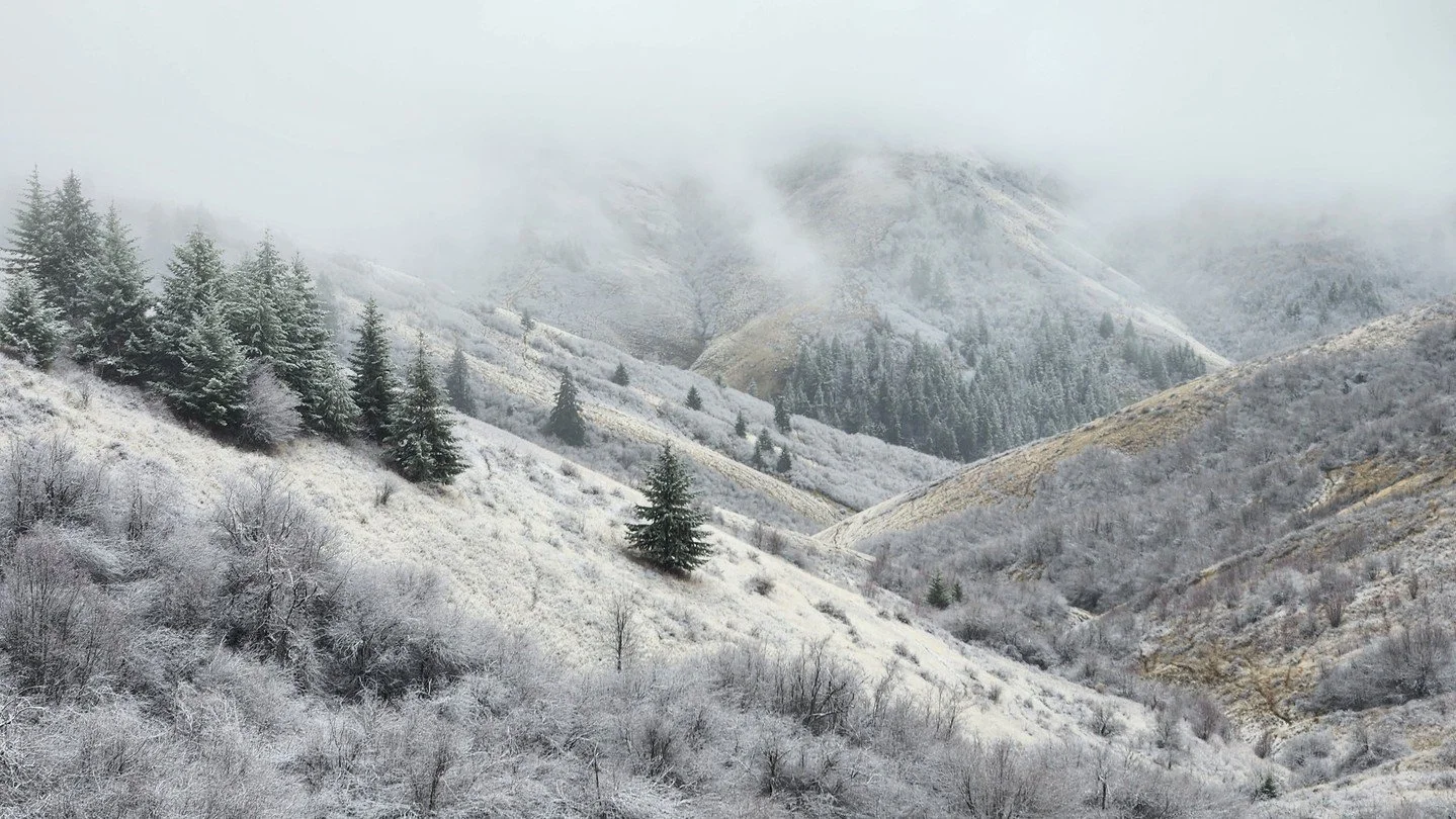 Weeks past the longest night of winter, we hope these early days of 2025 are shining some well deserved light on our family of friends.⁠
⁠
Also, please enjoy these pretty pictures and a quick update that things are still chugging along nicely at Main