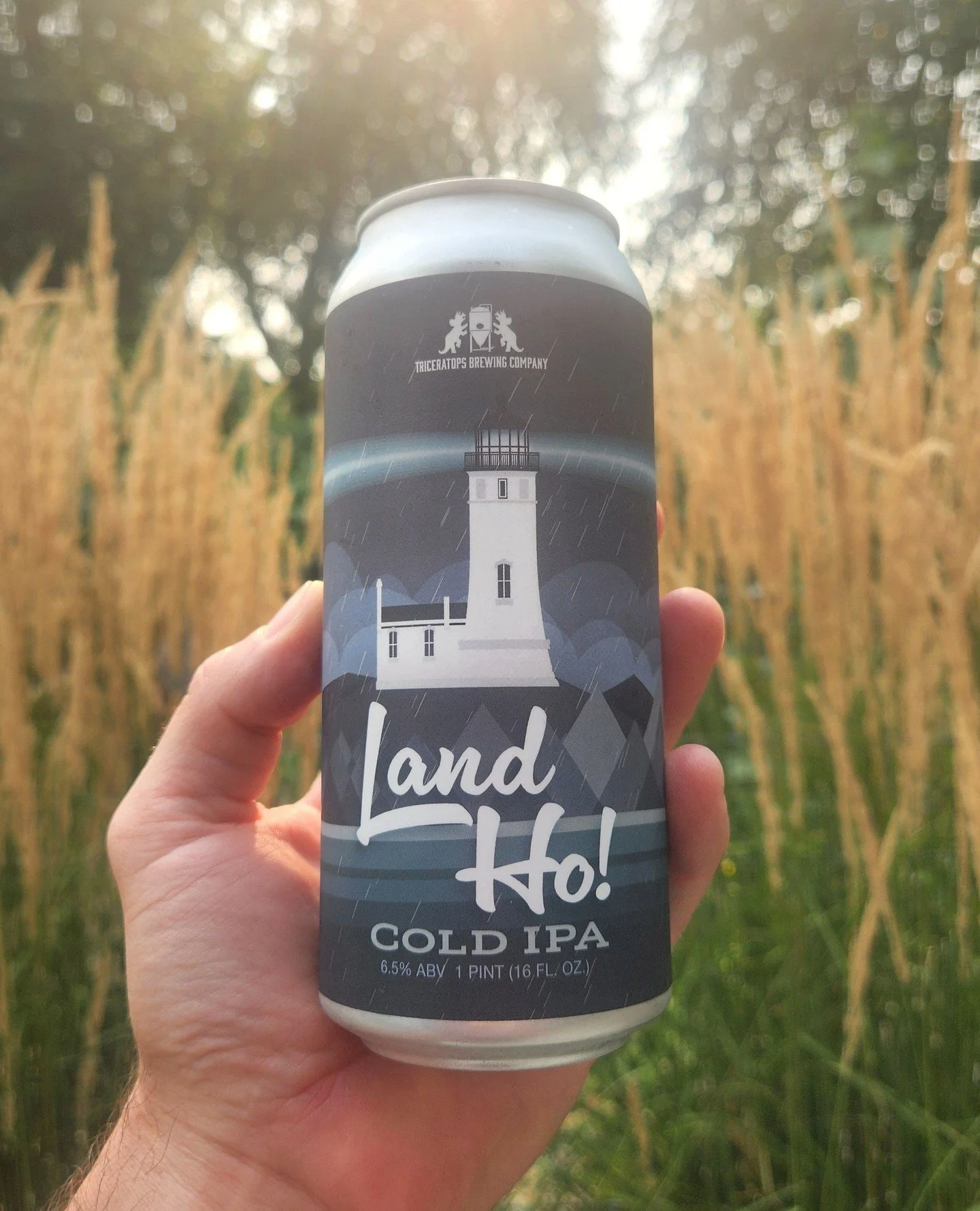 REAL TALK. Isn't it super fun when breweries highlight their craft malt usage on cans, even when it's an IPA??⁠
⁠
We obviously think it's fun! Not just because of our inherent bias, but because beer is mostly water and malt, and it means that particu