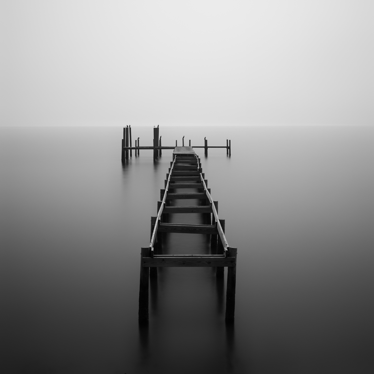 Image: Roger Raepple