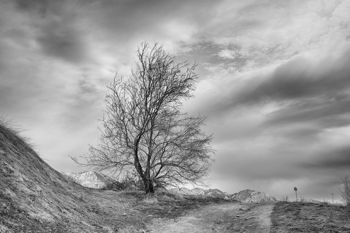 Carolyn Meltzer, "Road to Nowhere"