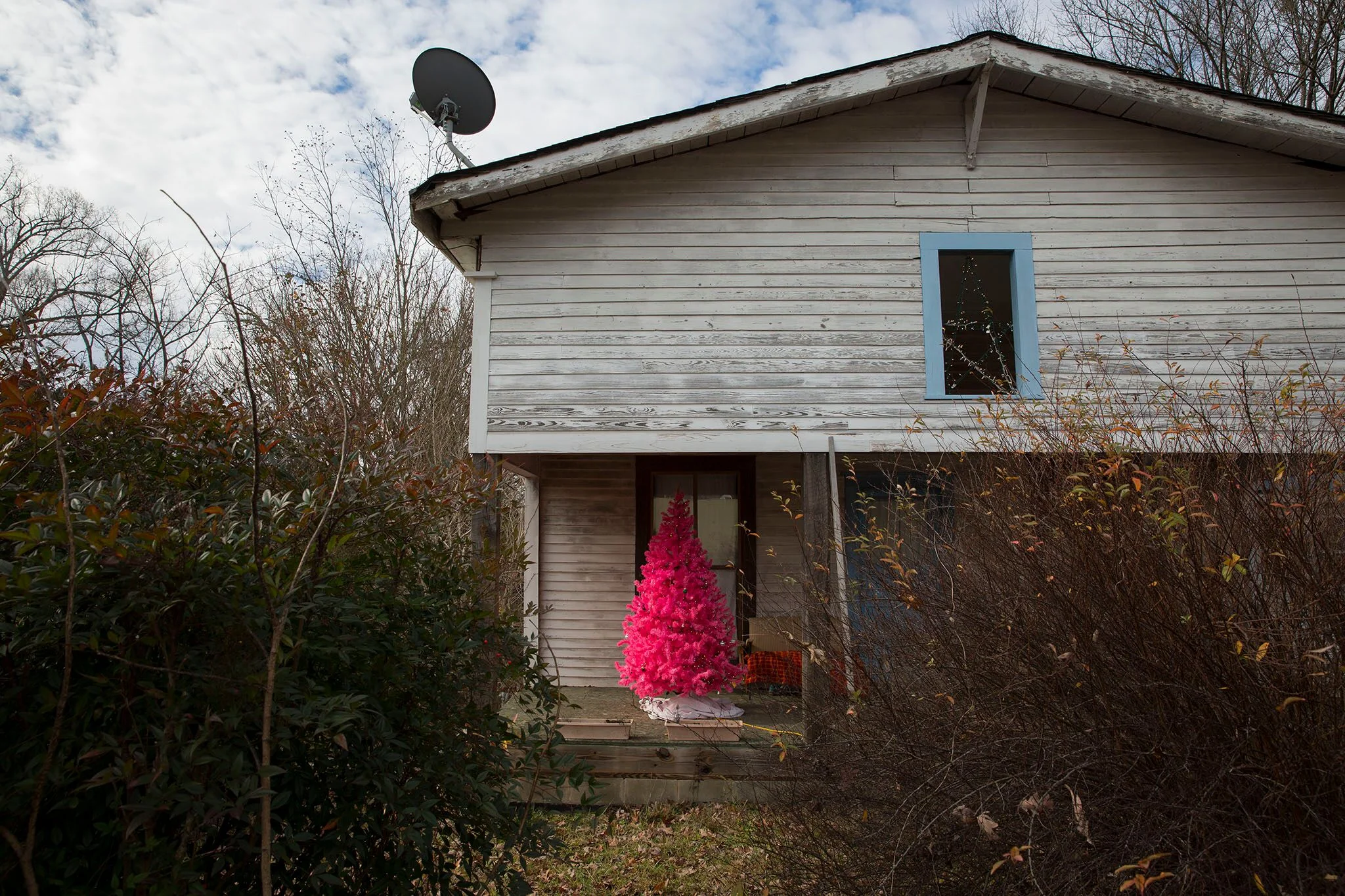 Amanda Greene, "Pink Christmas"