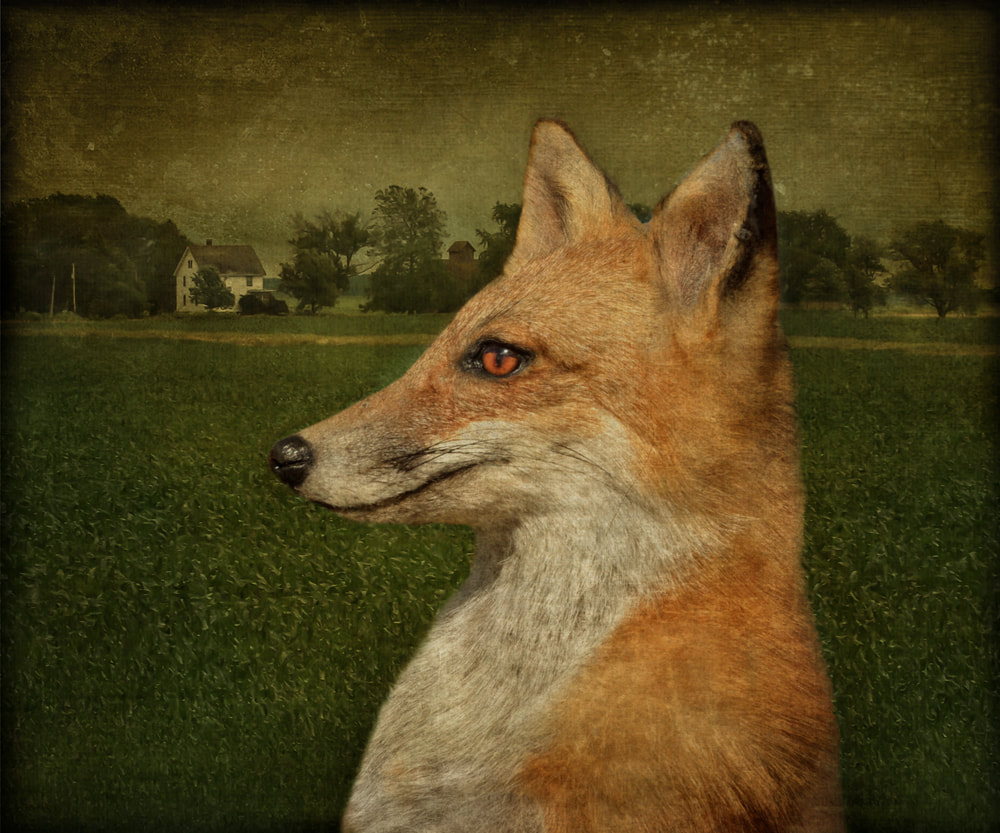 Dale Niles, “Cunning”