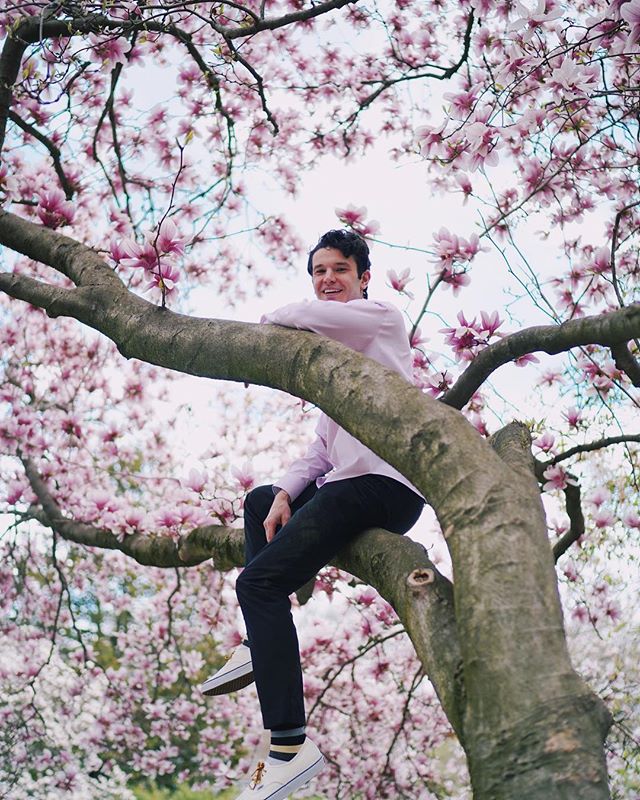 Philly’s puts on a cherry blossoms show to rival Japan✌️