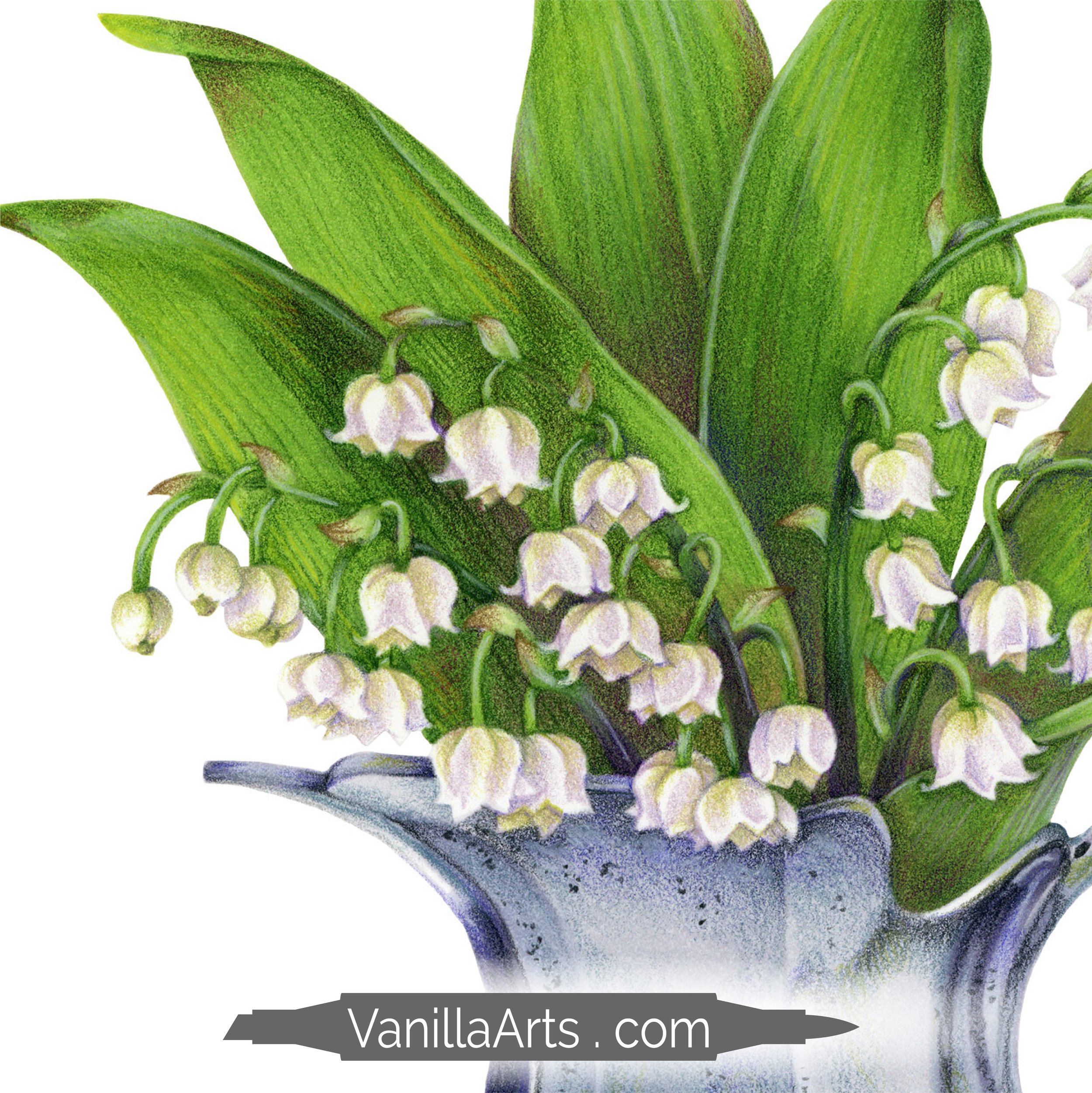 May Bells