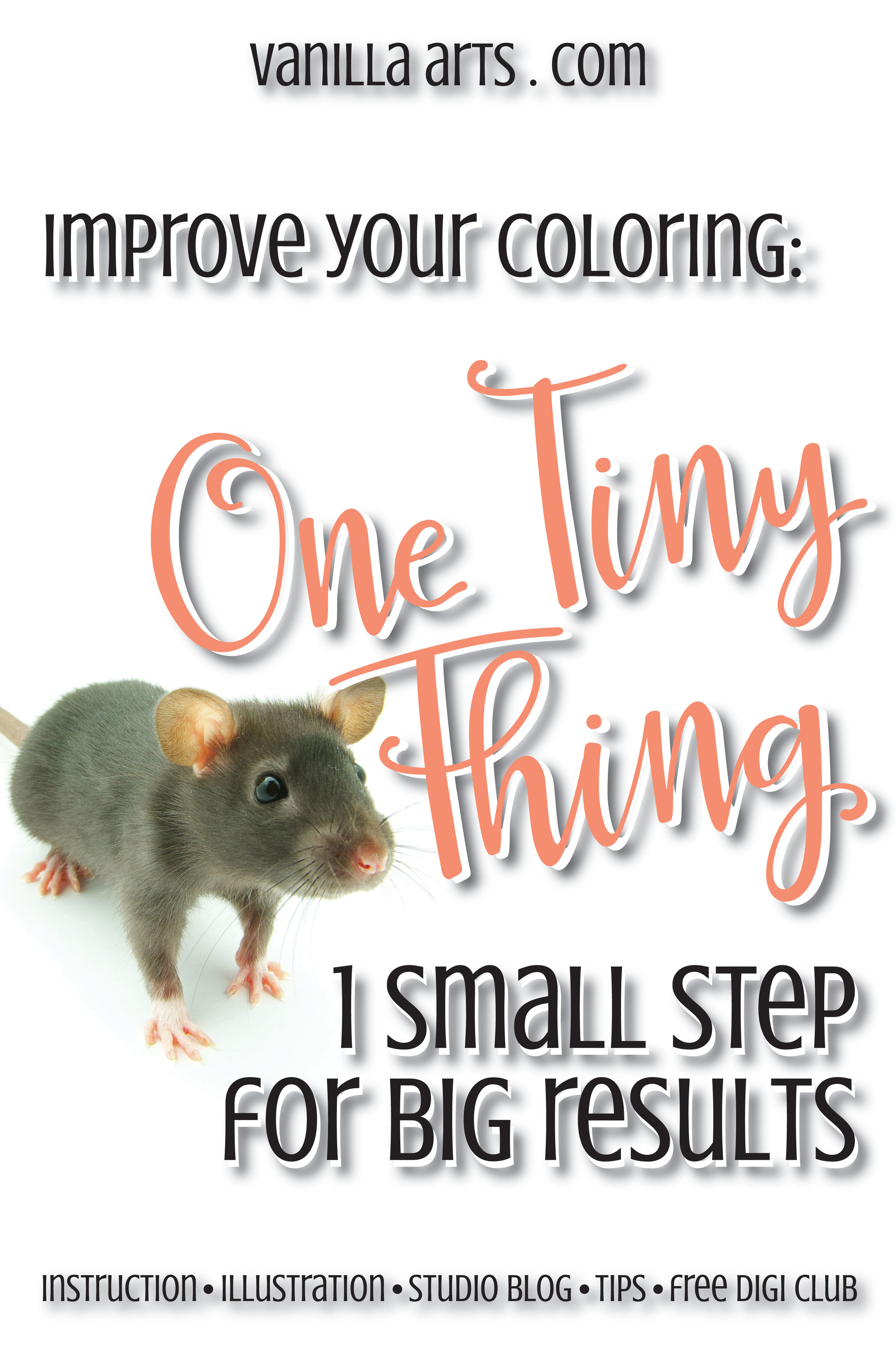 Improve Your Coloring: Stamp Evaluation