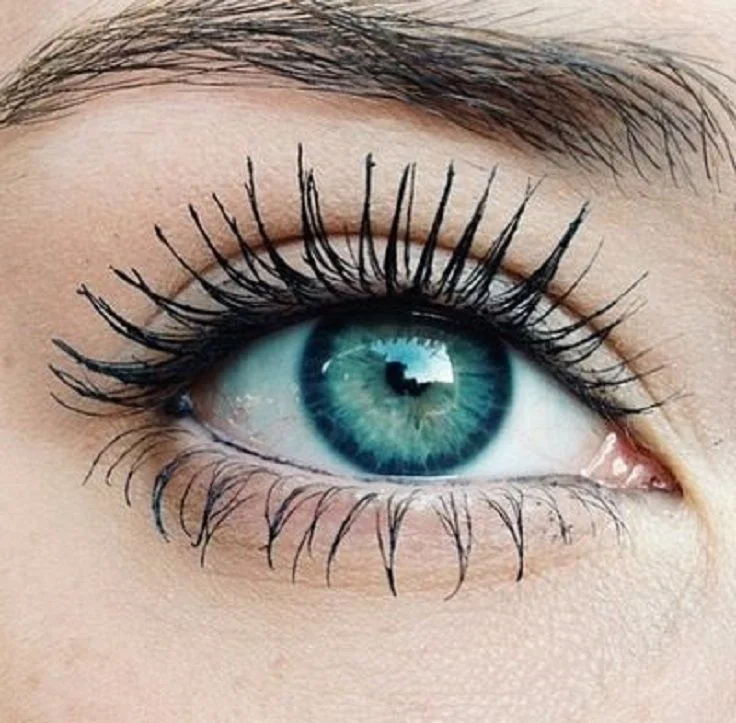 eye.jpg