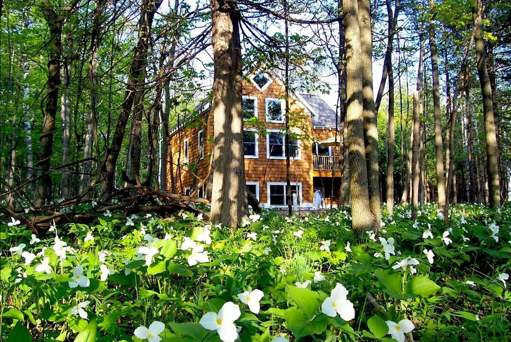 trillium exterior.jpg