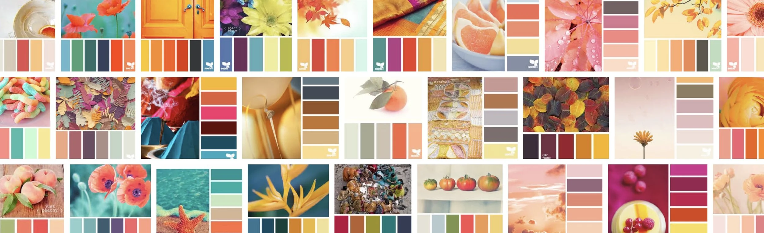 design seeds orange.jpeg