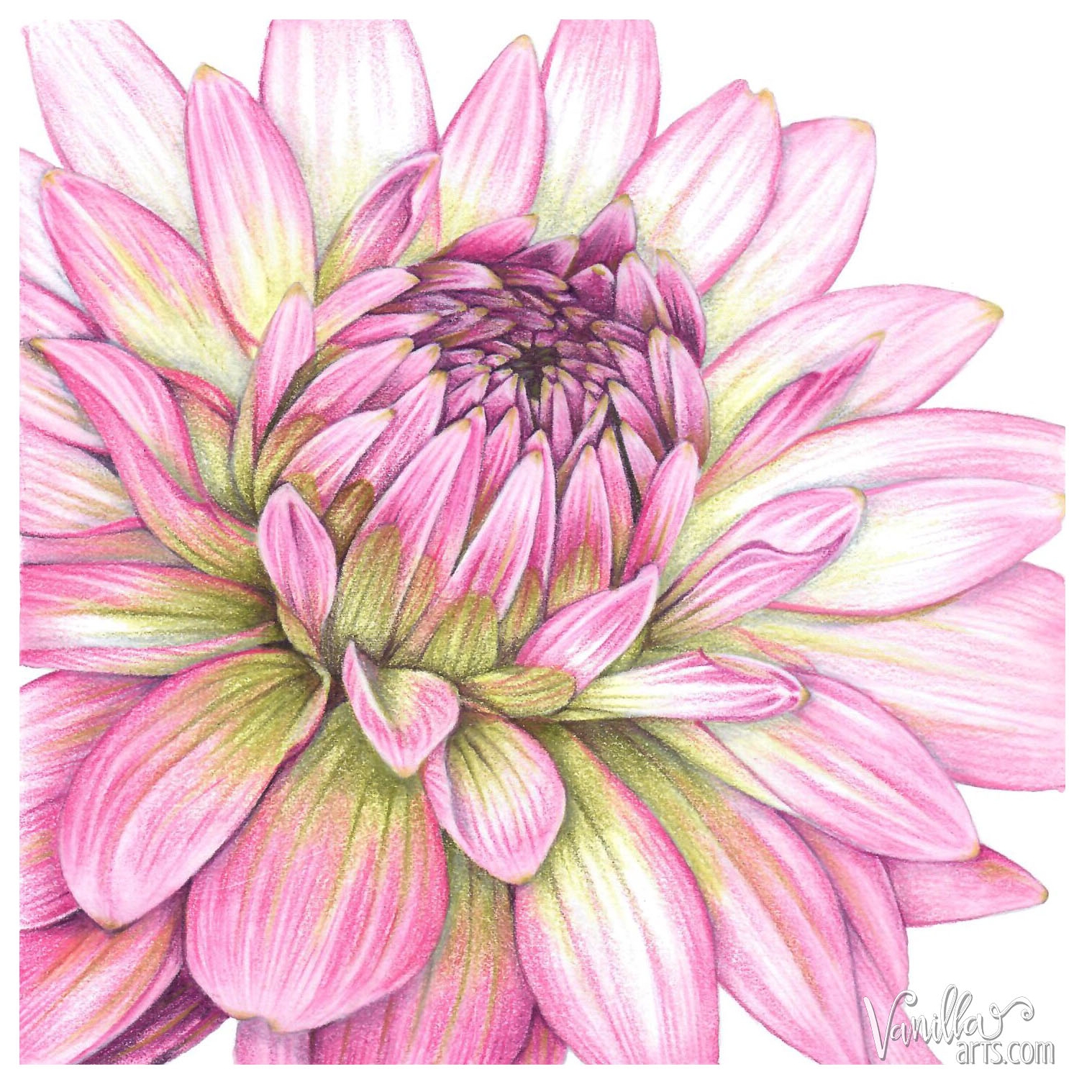 Colored Pencil Flowers - The CreativeMindClass Blog