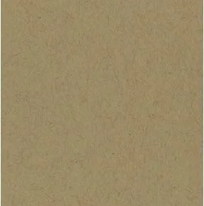 Bazzill Classic Cardstock in Kraft.jpg