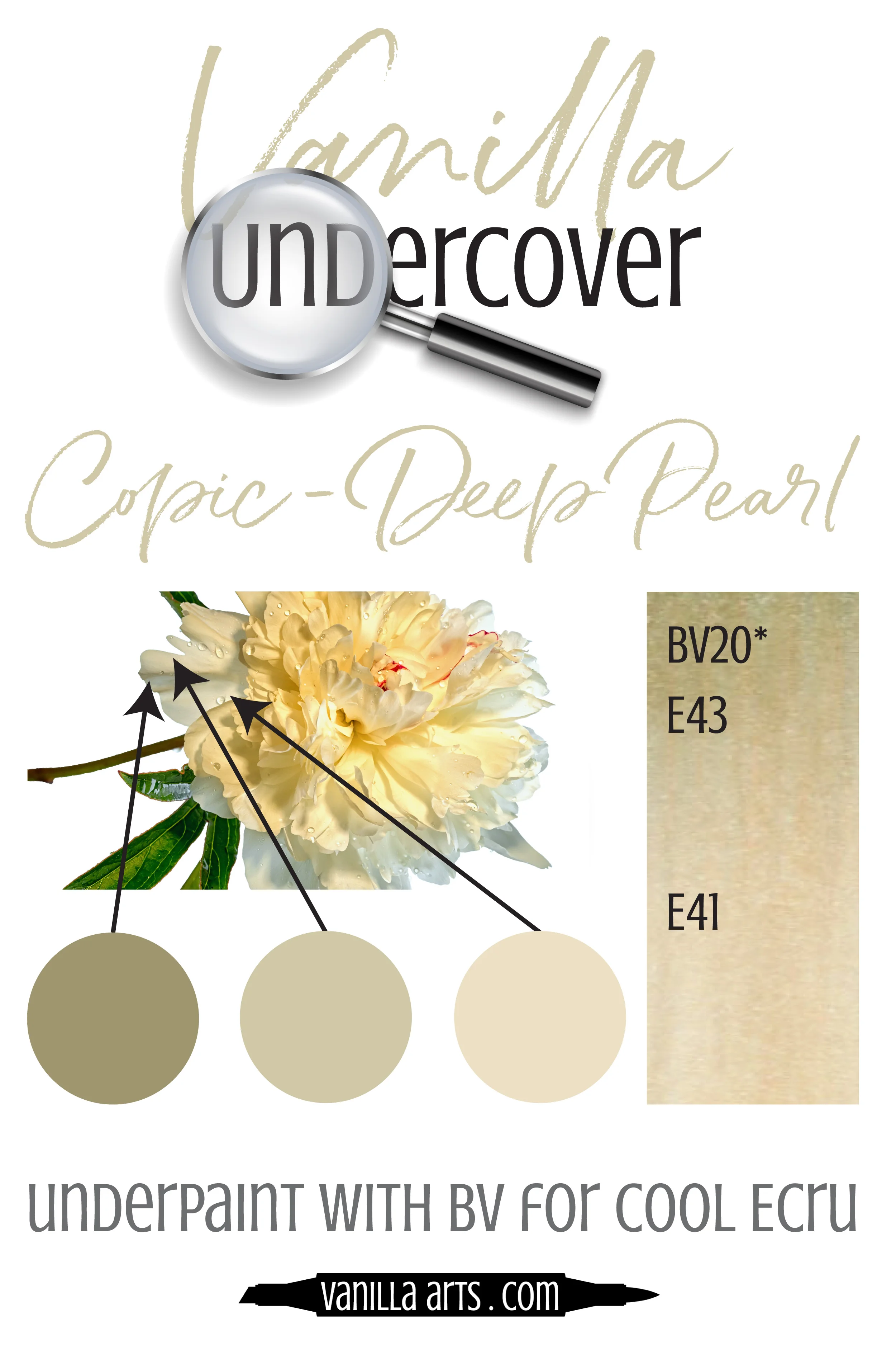 Underpaint with Copic Markers! Try coloring with V01 underneath your yellow blending combination to simulate beautiful canary shade. | VanillaArts.com | #copicmarker #realisticcoloring #underpainting