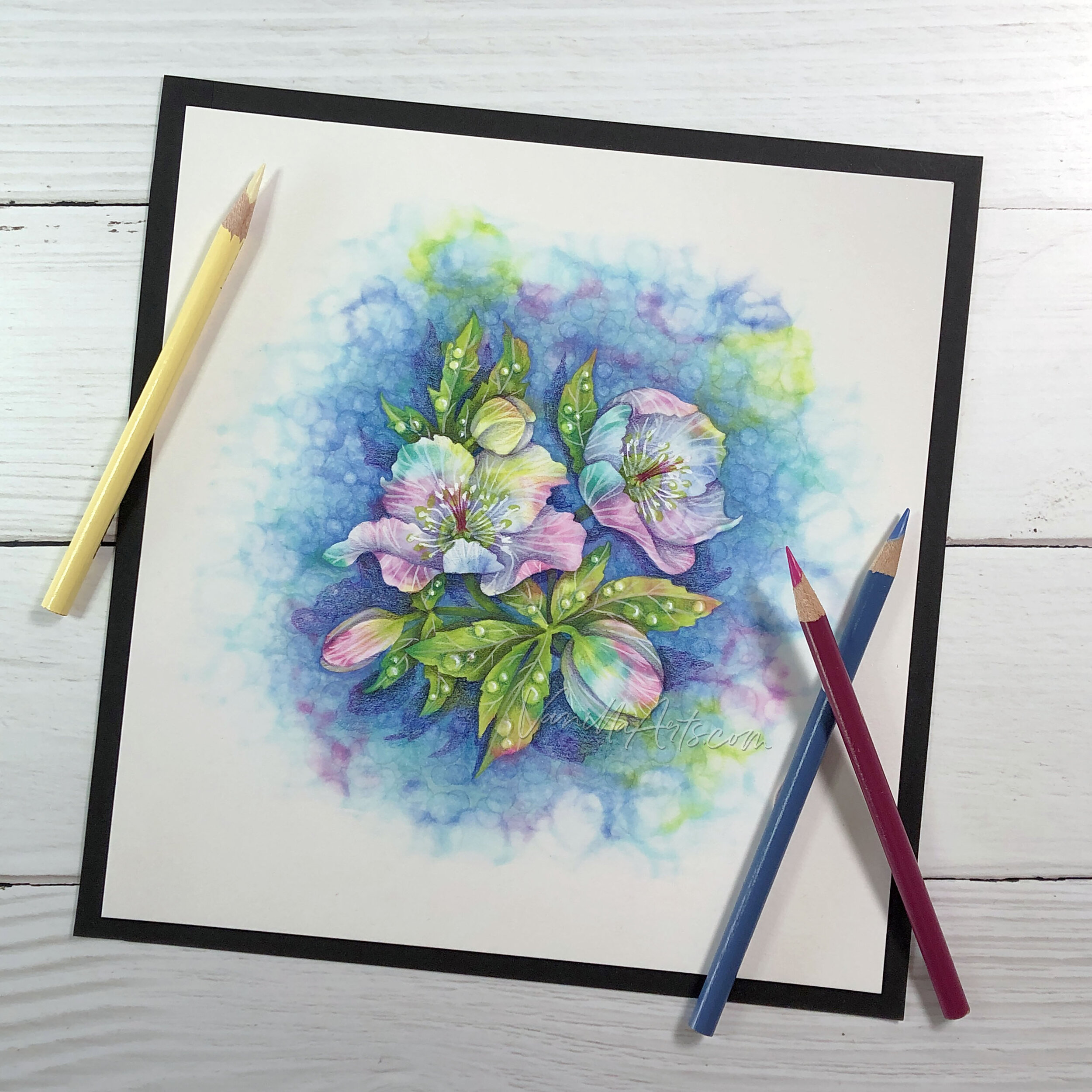 Four Colored Pencil Techniques to Elevate Your Art – Ink+Volt