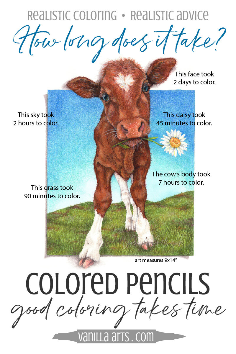You need these beginner tips for colored pencil drawing