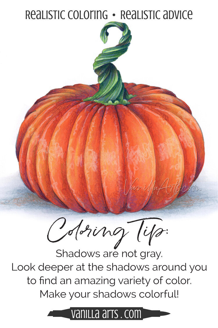 Real shadows are rarely gray. Learn to layer Copic Markers and colored pencils for artistic and beautiful shadows in the beginner level Baby Pumpkin online class. | VanillaArts.com | #coloredpencil #c