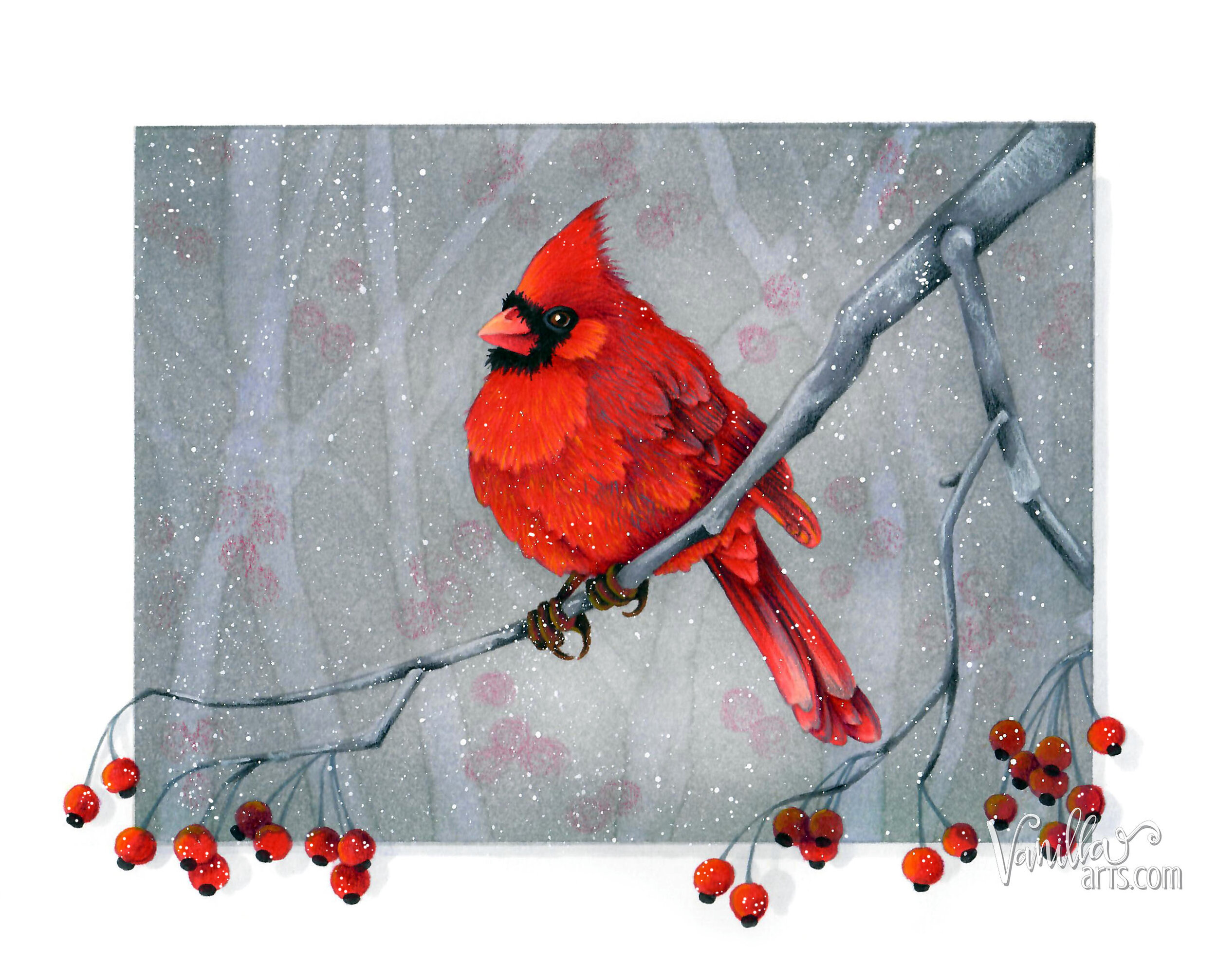 Red Bird a Copic and Colored Pencil Marker Painting Workshop — Vanilla  Arts Co.