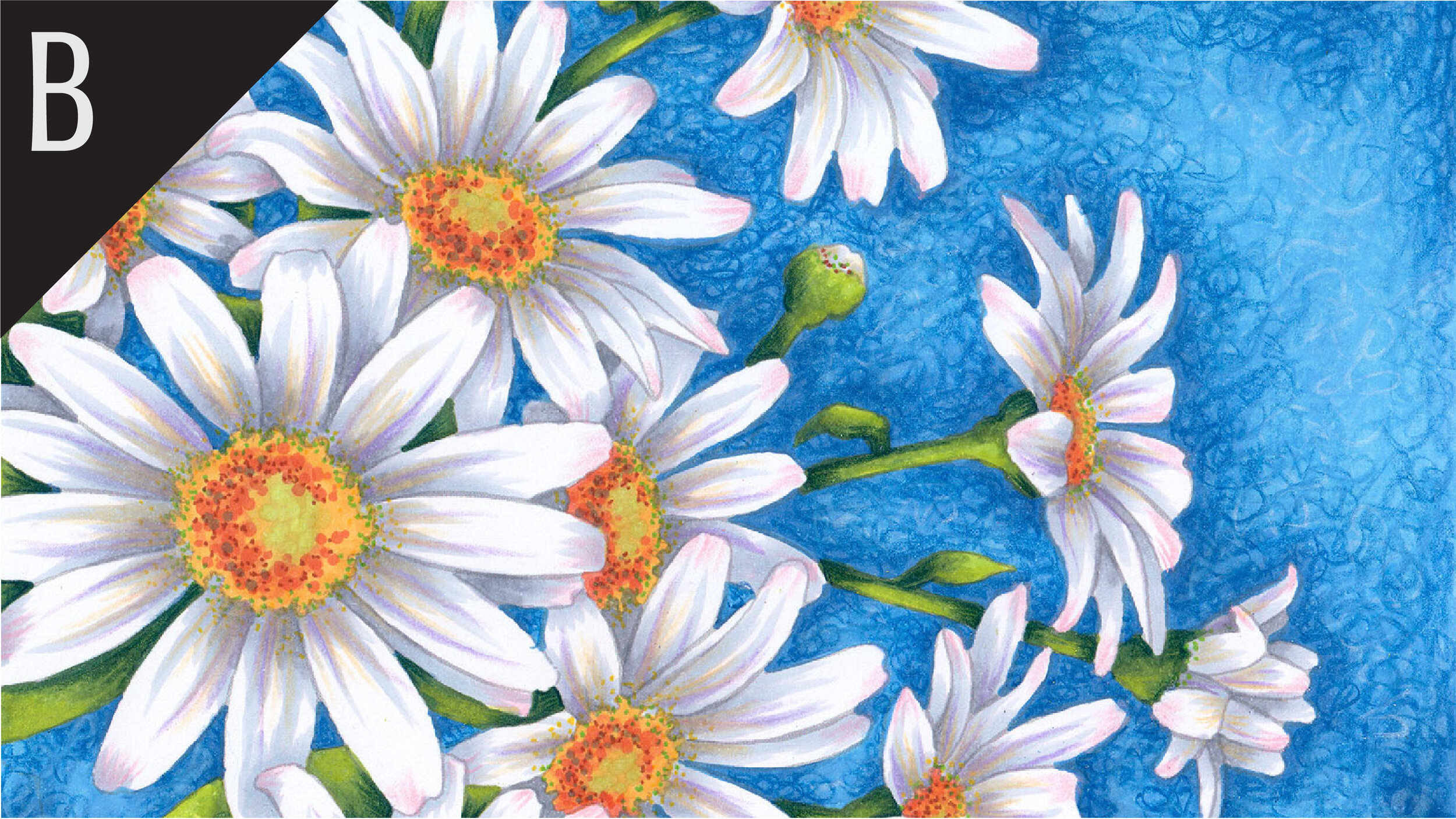 Details in Focus: 6 Tips for Coloring Realistic Flowers (Copic Marker, Colored  Pencil) — Vanilla Arts Co.