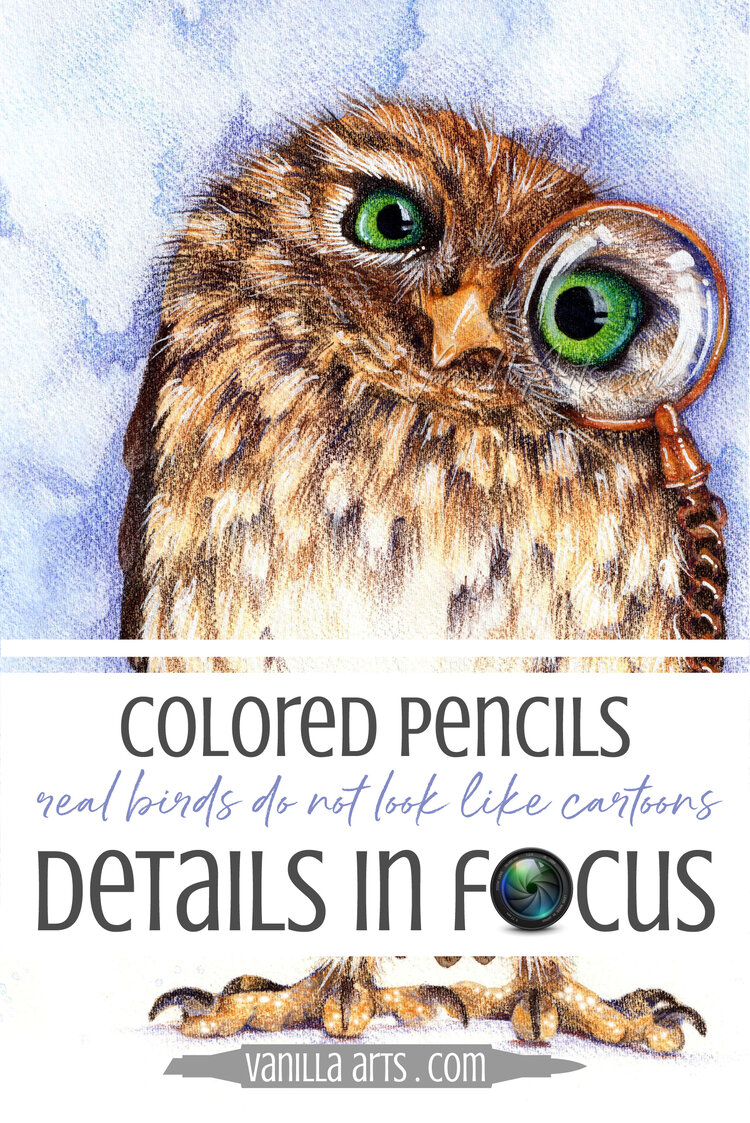 Drawing with Colored Pencils: Realistic Cardinal Tutorial