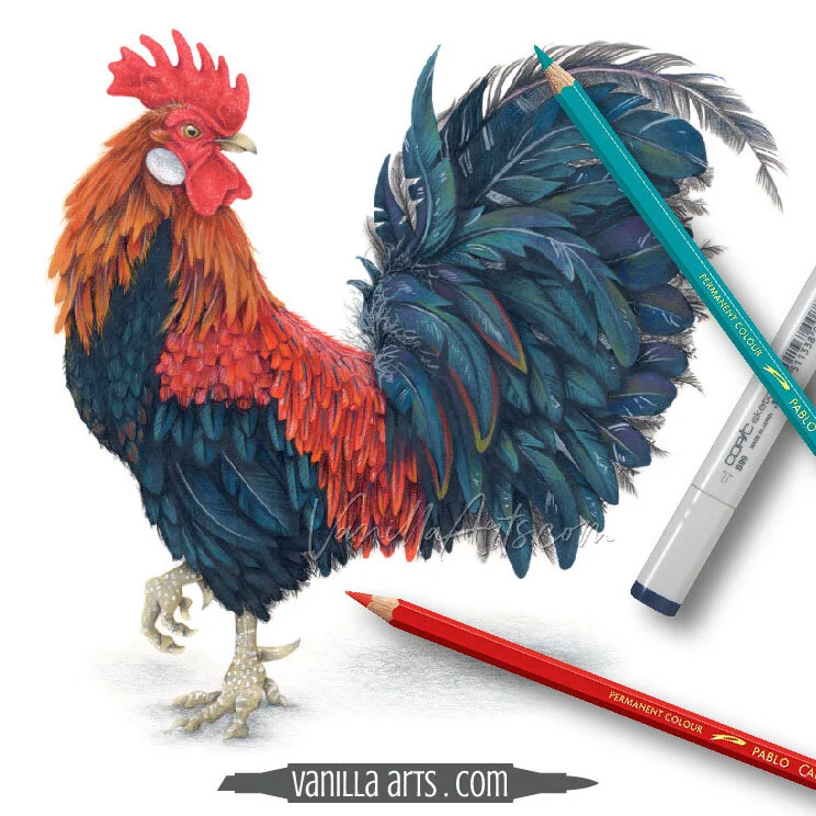 Blending With Colored Pencils: Are You Using Too Many Colors? (More Realism  With Fewer Pencils) — Vanilla Arts Co.