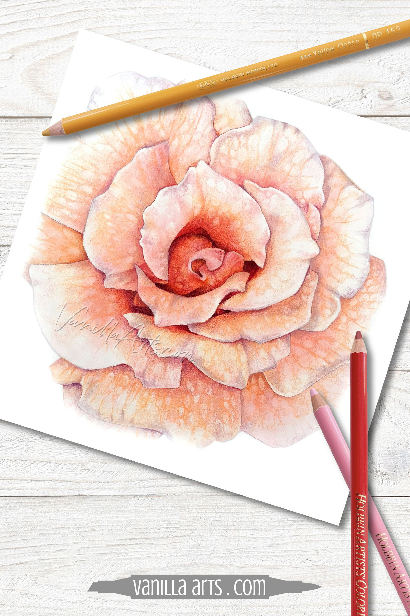 Color Pencil Loves Watercolor - RozWoundUp