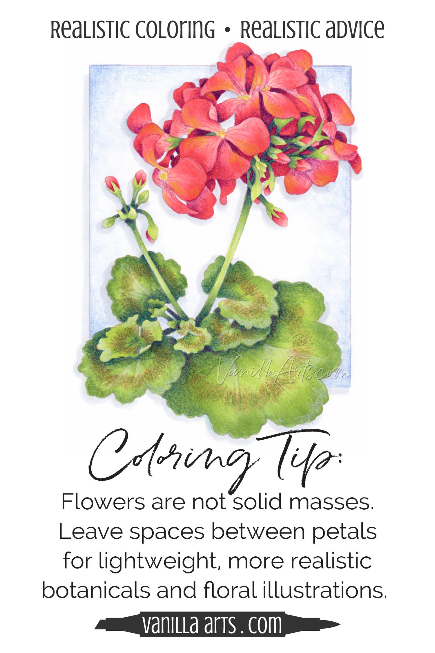 Coloring Tip: Leave Air Space for Light and Delicate Flowers (Copic Marker, Colored Pencil)