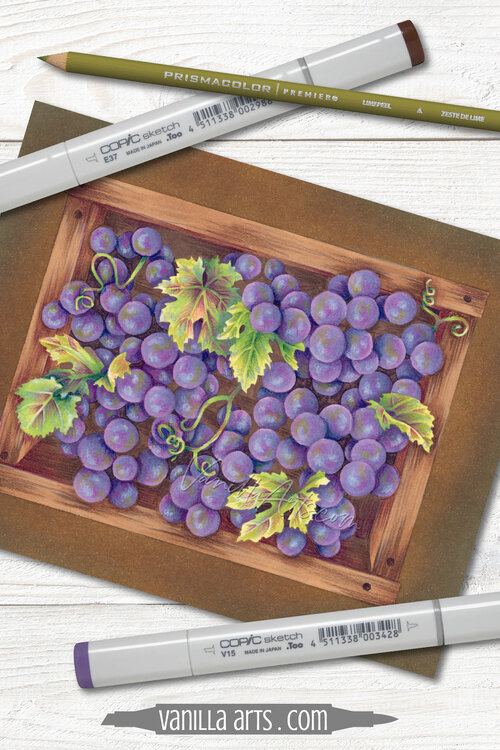Grape Harvest - Artistic Coloring Kit — Vanilla Arts Co.