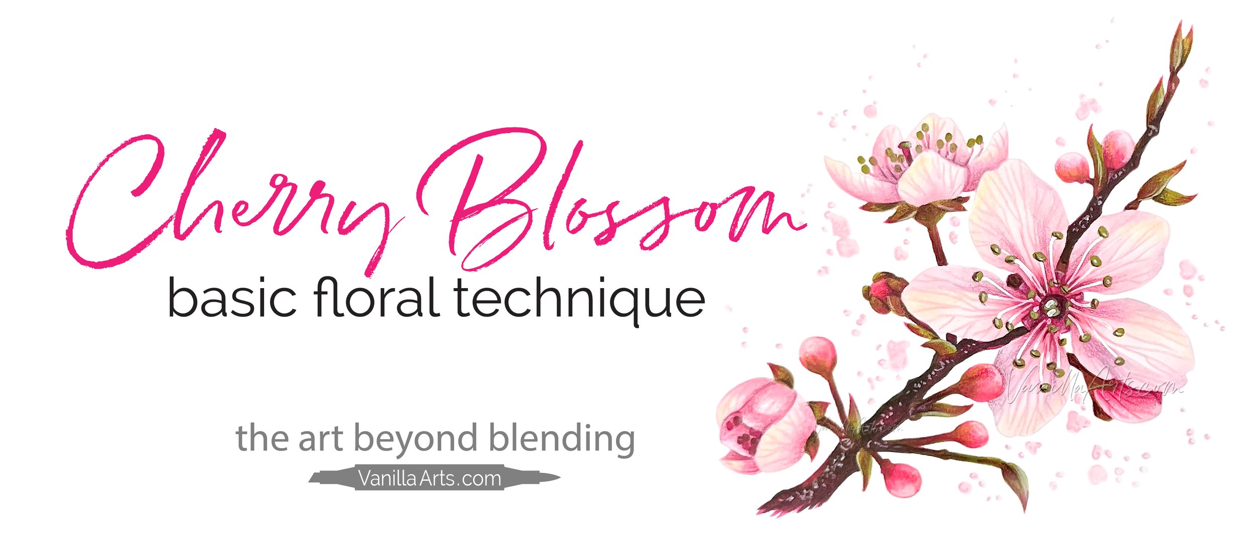 Cherry Blossom: Intermediate Coloring (Copic Marker, Colored Pencil)