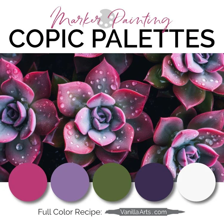 Color Palette: Copic Marker + Colored Pencil Combination (Magenta, Violet, Olive Green) Magenta Succulent
